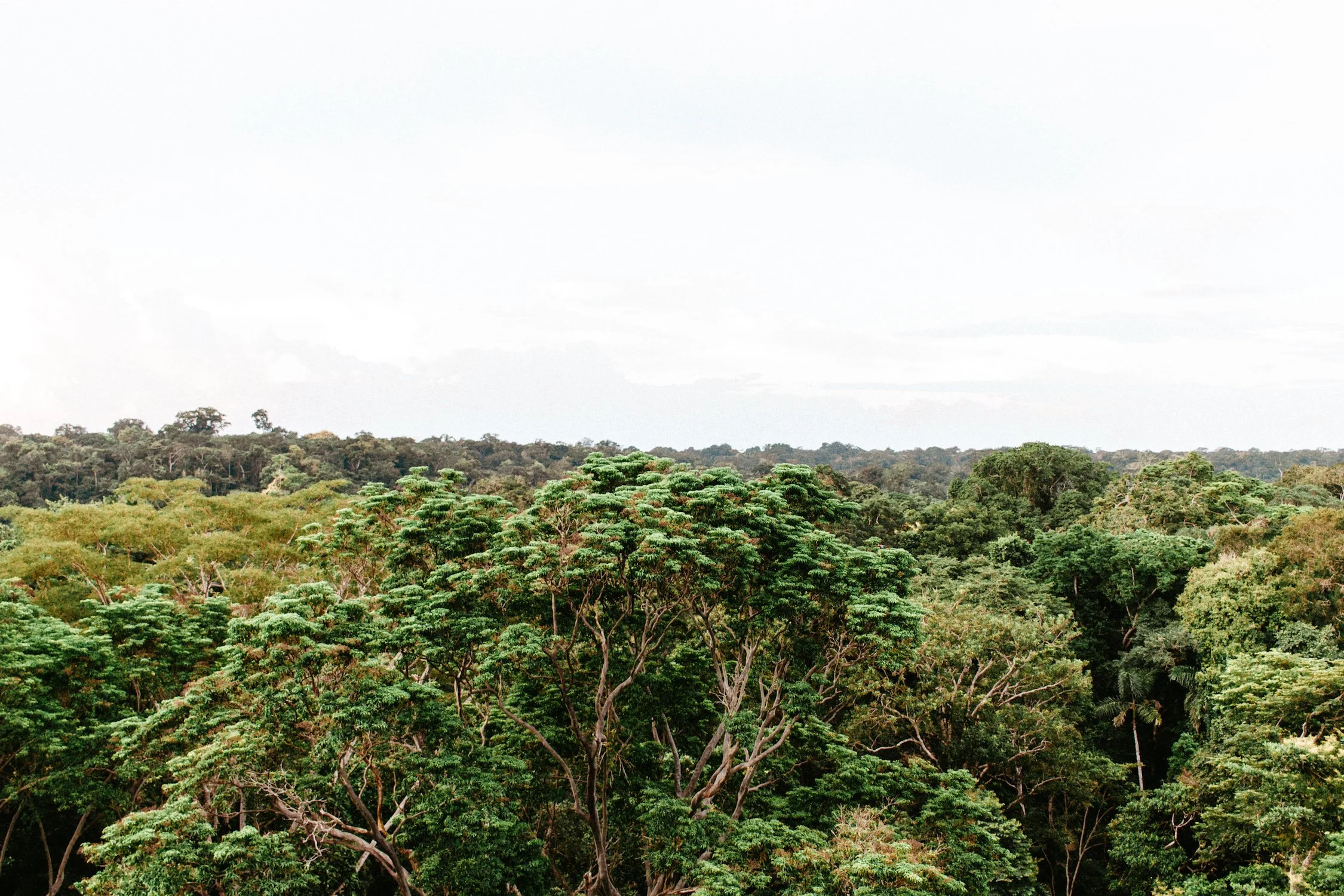 california-editorial-travel-photographer-amazon-peru-14.jpg