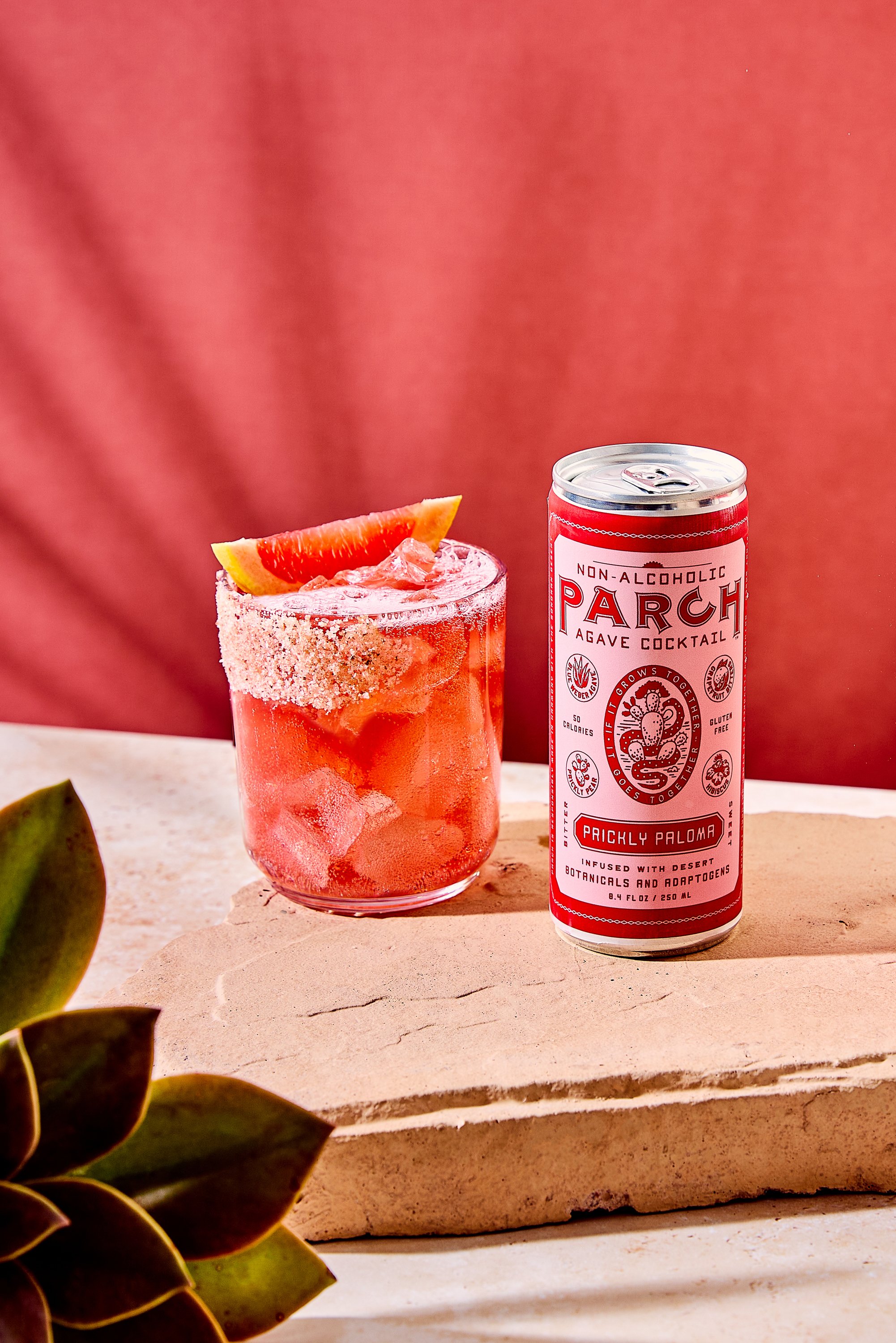 mary-lagier-remote-beverage-product-photographer-parch-1.jpg