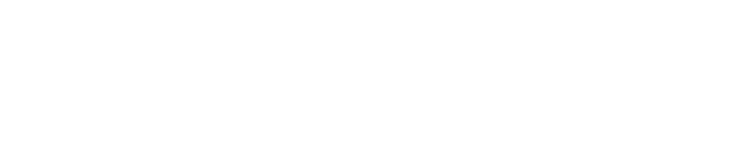 nexus_logo_final white.png