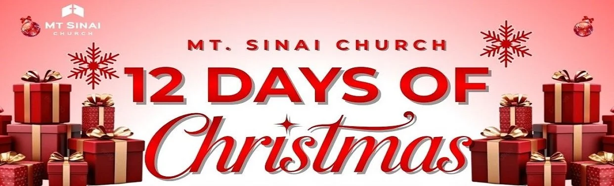 Web Slider - 12 Days of Christmas.jpg