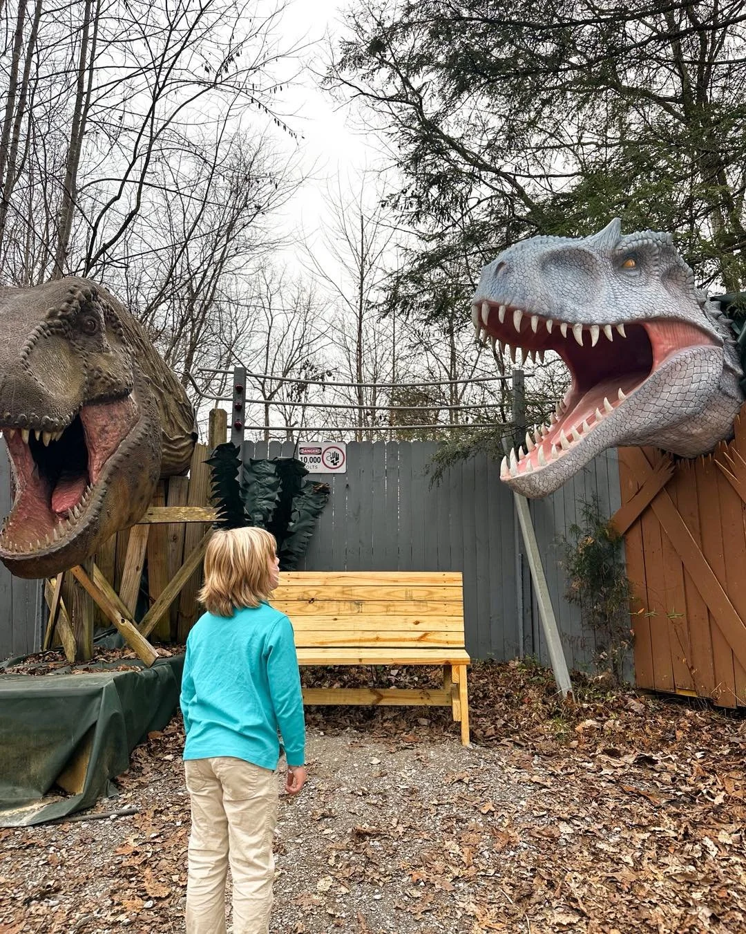 Our first #WhereDidWeGoWednesday of 2026 and it&rsquo;s a good one! Last week we savored the spring like weather and visited Backyard Terrors Dinosaur Park in Bluff City, TN and it was awesome! Way bigger than we expected and the dinosaurs were huge!
