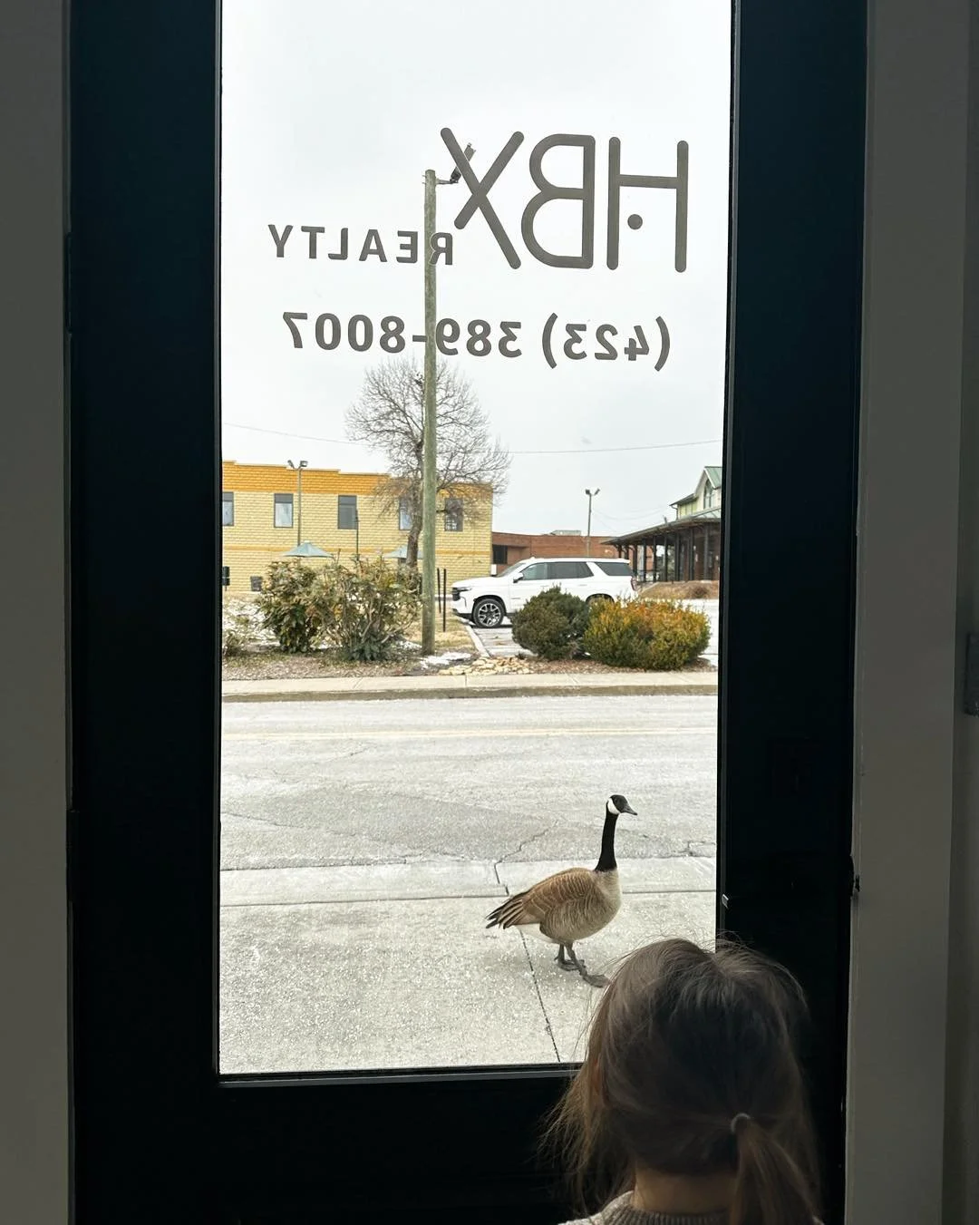 Even our neighborhood geese are flocking to us to find them a house 😉😅

Don&rsquo;t be a silly goose, joined them too! 🪿

📲 423-389-8007
