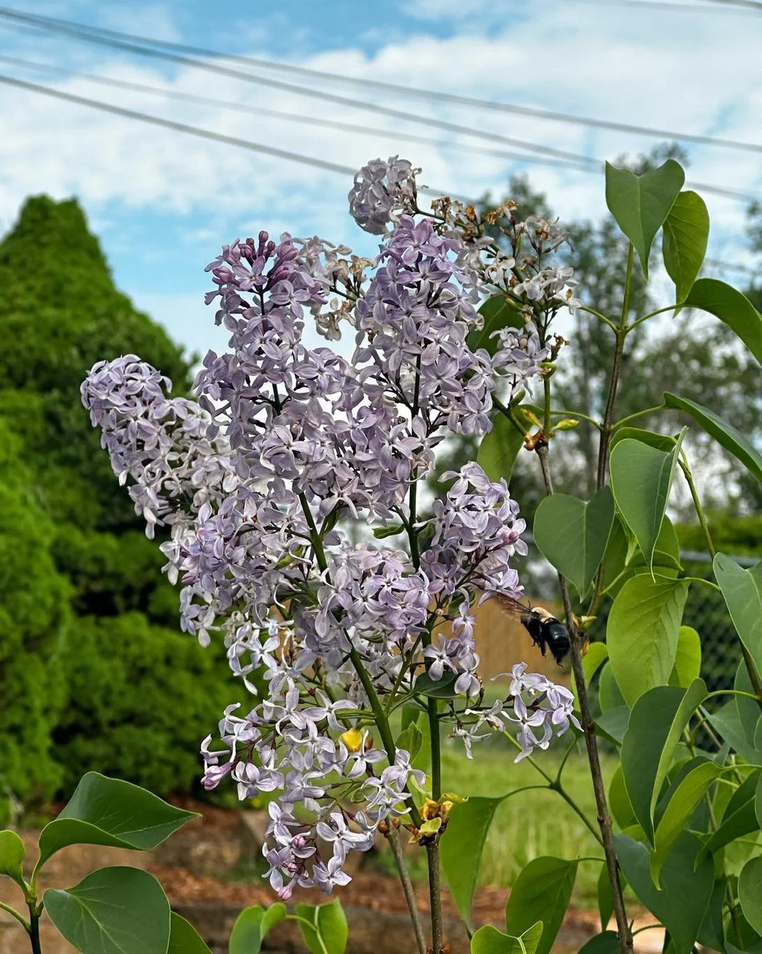 Spring is here and we&rsquo;re all for it&mdash;allergies and all 😂🤪

But what it also means is that now is historically the time when the most listings will be on the market during 2026, and the most buyers! Making it a great time to buy (helloooo