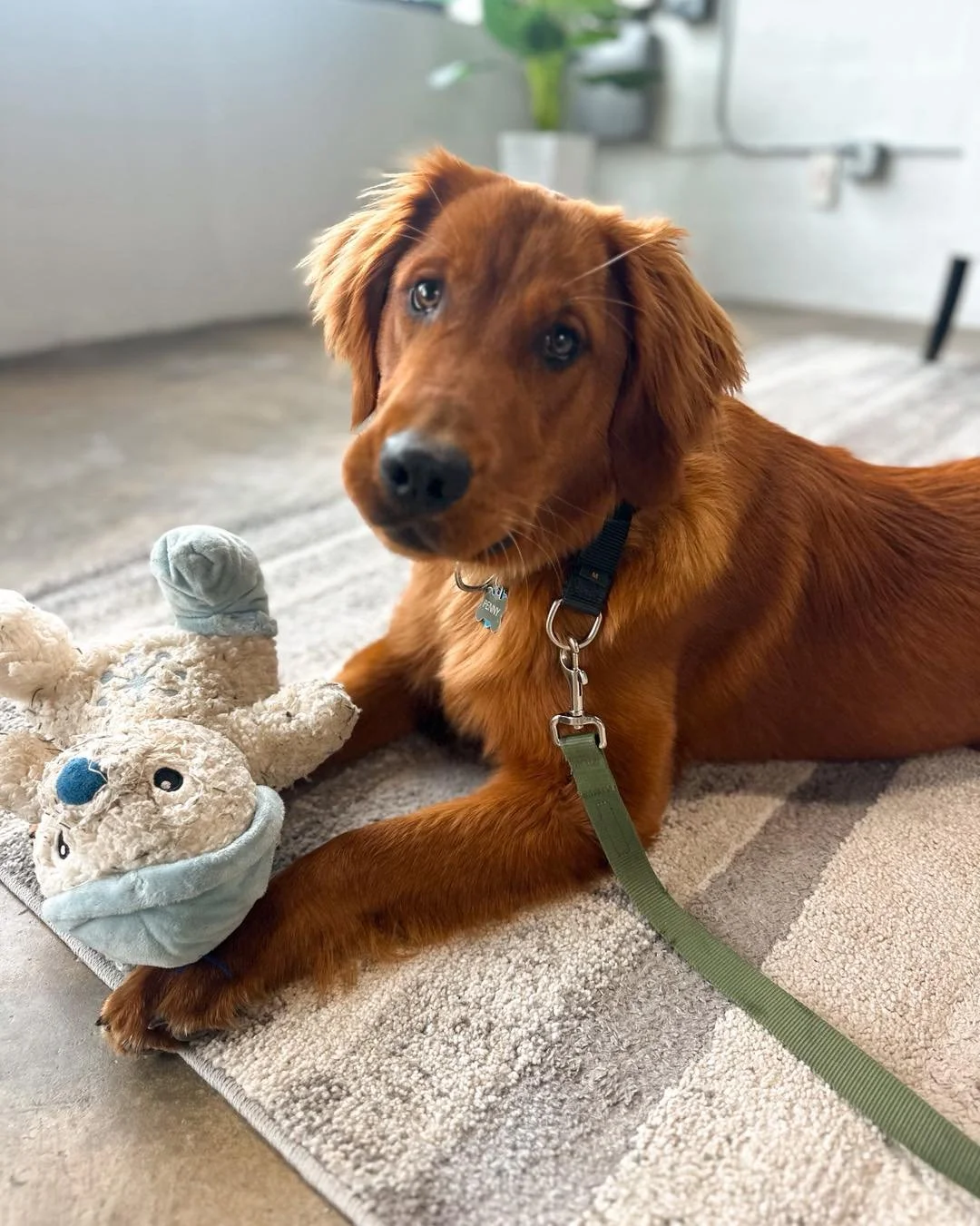 Just a golden girl and her &ldquo;baby&rdquo; to kick off your Monday! 🥹