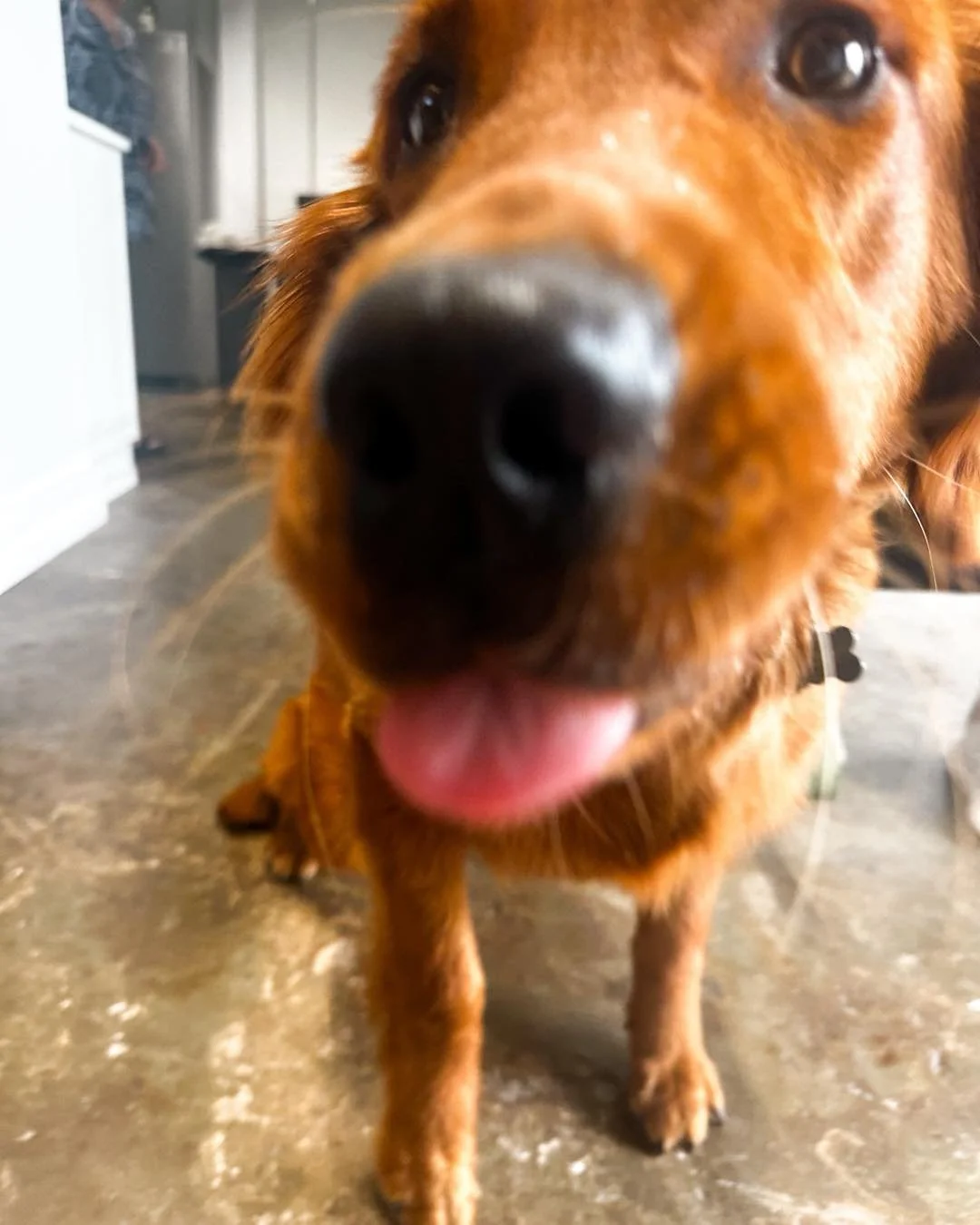 It&rsquo;s just another Penny Monday around here! We hope your day is so amazing it&rsquo;s a blur! 😂

Have some real estate needs this week!? We&rsquo;d love to help walk you through them! 

📲 423-389-8007