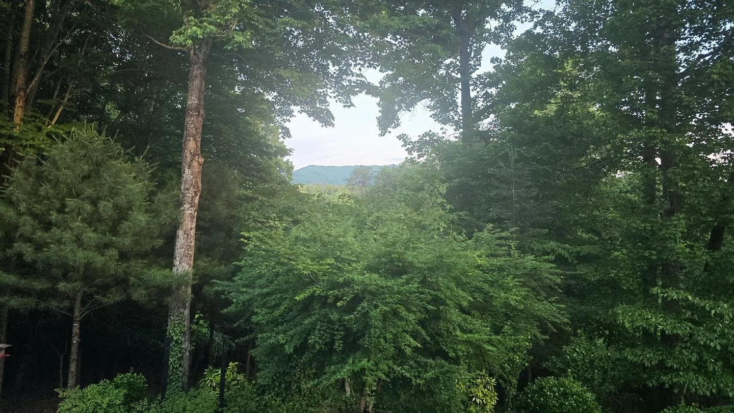 This late night summertime showings give us a peek of some mountain views 😍😍😍😍

Is there anything better than looking at houses on summer nights!? We think not! 

We&rsquo;d love to help you find your place (or new place) to call home this summer