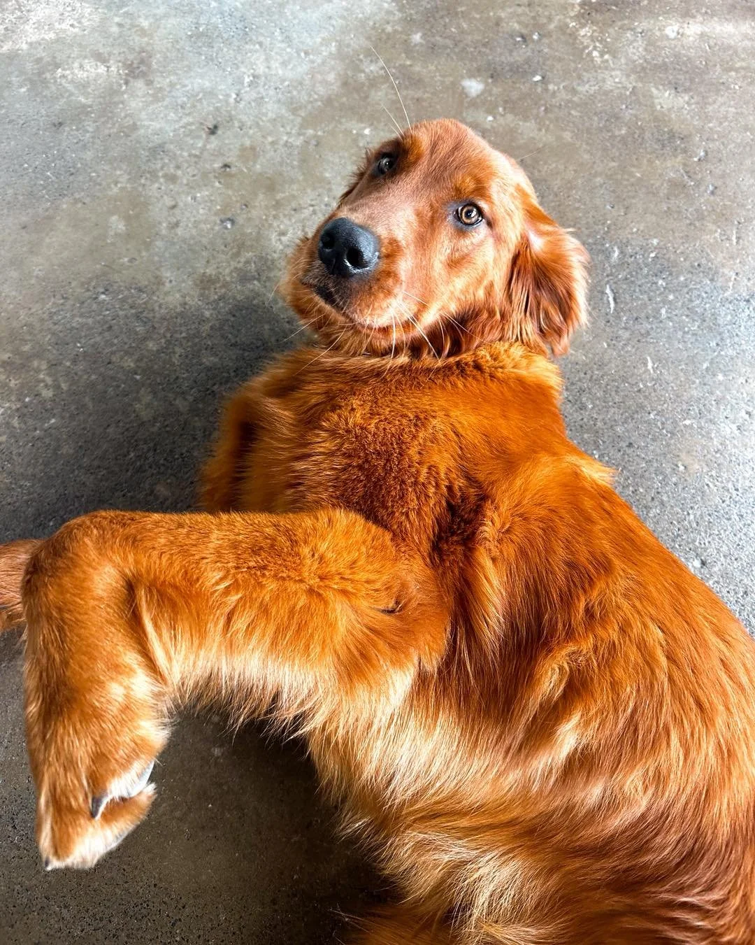 How&rsquo;d we get to Monday so fast!? 

We don&rsquo;t know either, Penny! 😂 

What we do know is that we had a busy weekend helping our friends buy and sell real estate across the Tri-Cities! Our hearts are full and we&rsquo;re so thankful! 

Want