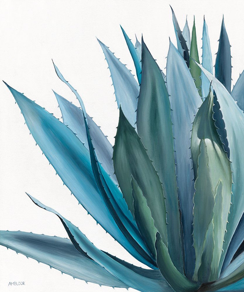PD_AMBLOOR_BLUEAGAVE_760X910sRGBweb.jpg