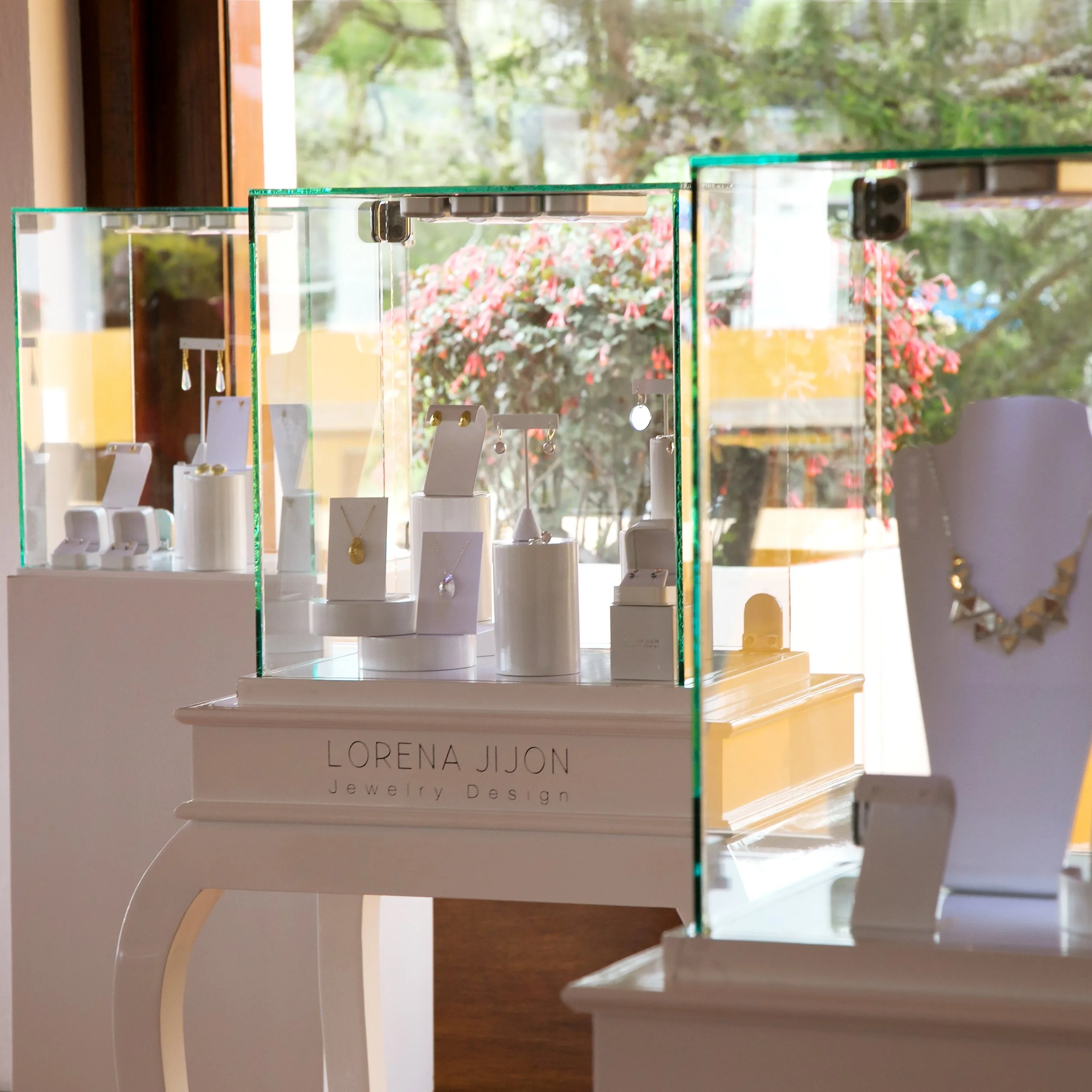 Expo Arrayanes Zoom.jpg