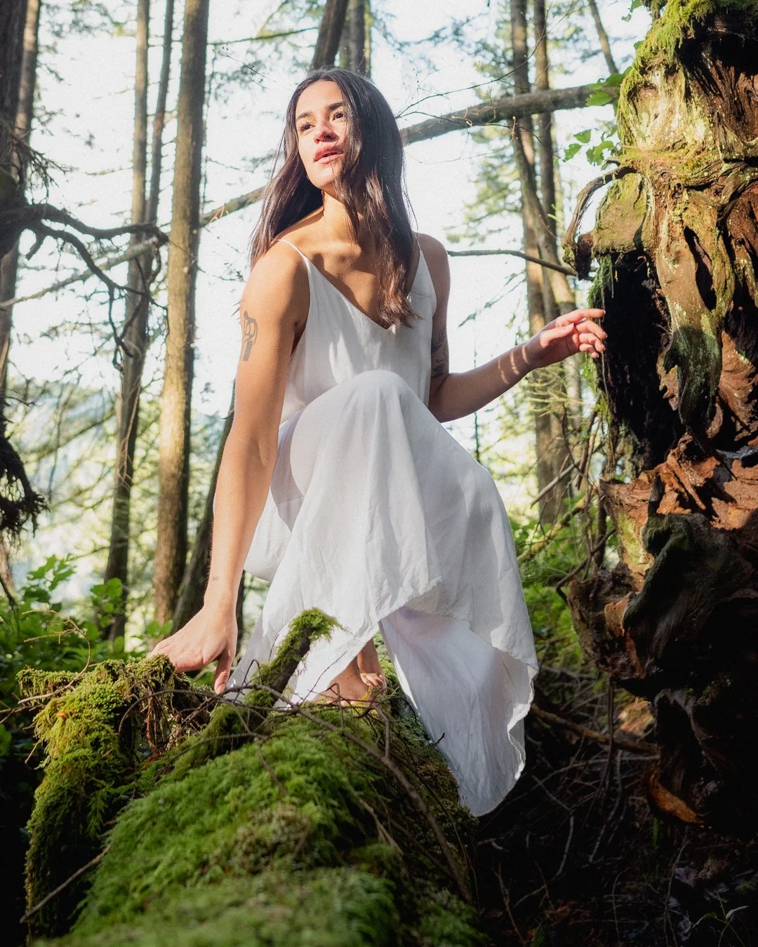 Copyright SJ Visuals _D750755-Edit.jpg