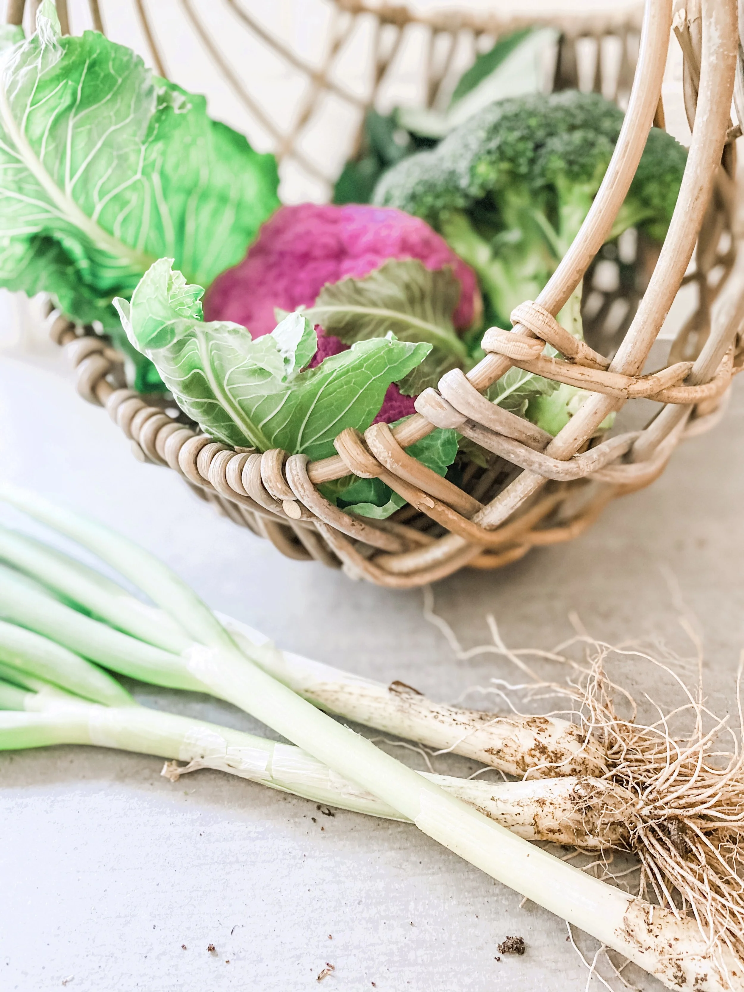 Why Heirloom Vegetables?!