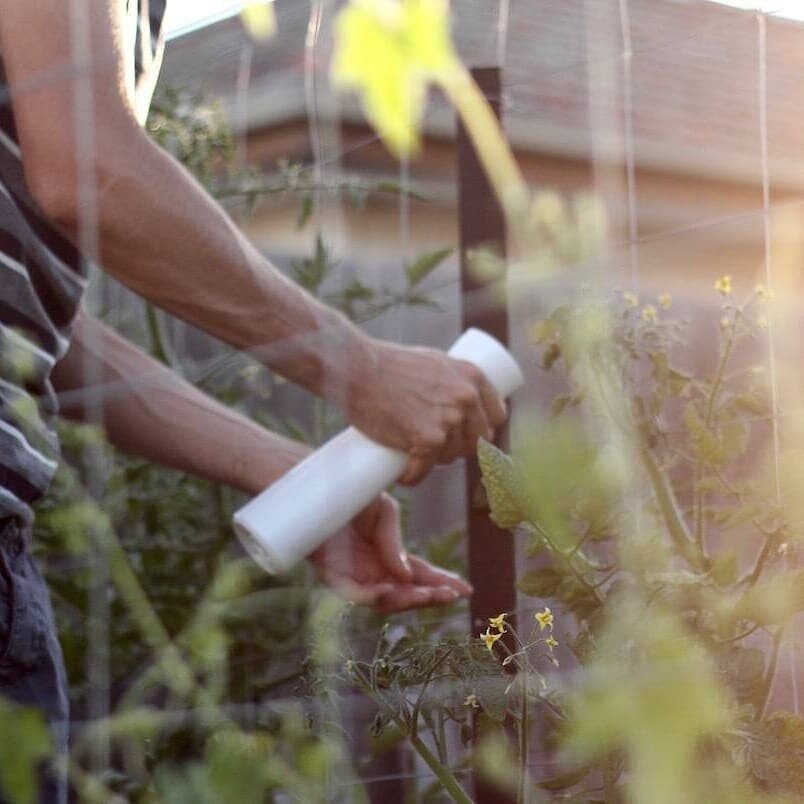 Catie and George have been experimenting with foliar feeding on their plot. In Catie's words... &quot;We're interested in foliar feeding for a number of reasons. One, it's just a really fast and effective way to get nutrients into our plants when we'