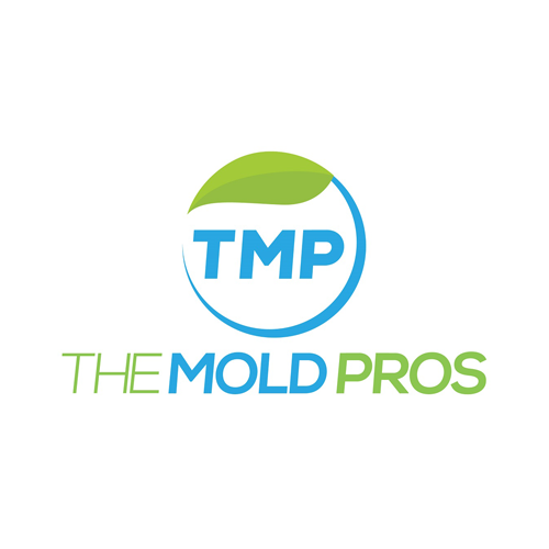 the-mold-pros.png
