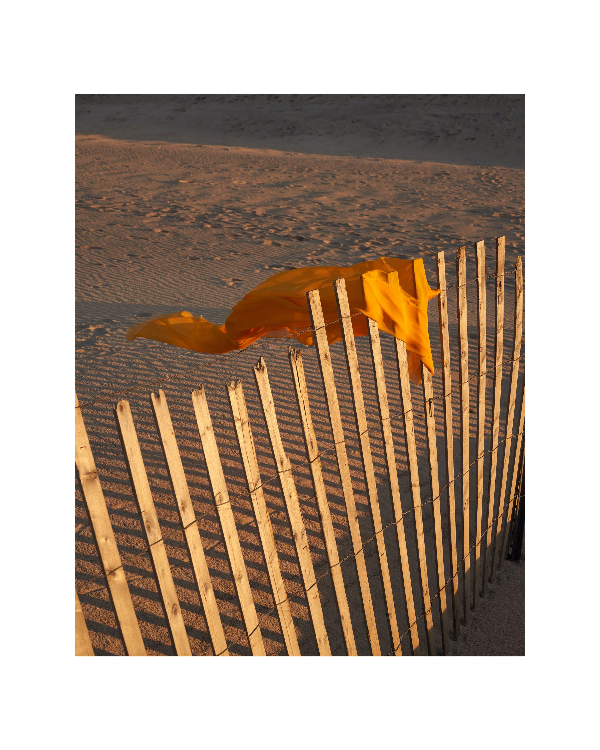 FINAL-US_Alice Gao_Phase 1_VCBLOOM5.jpg