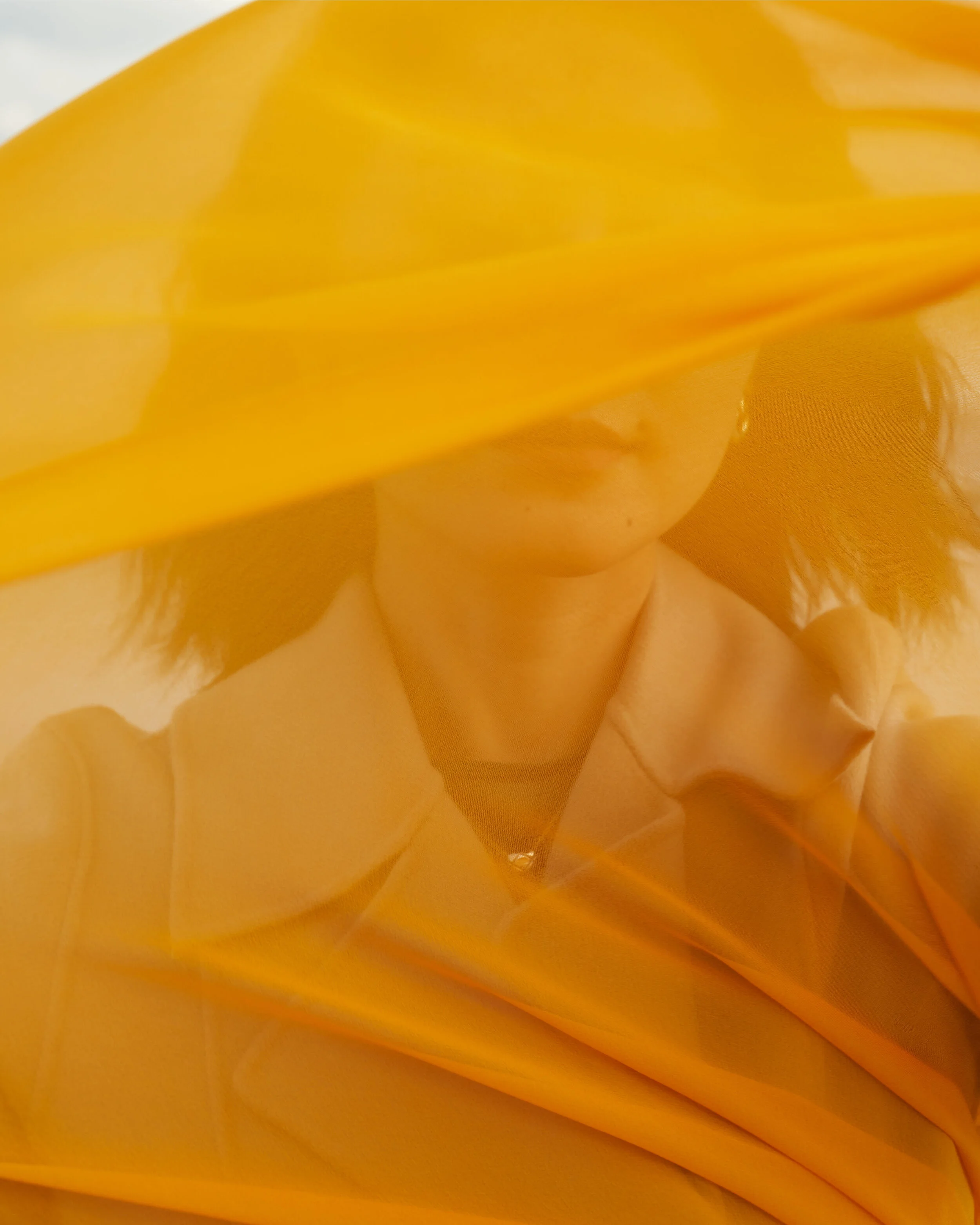 FINAL-US_Alice Gao_Phase 1_VCBLOOM3.jpg