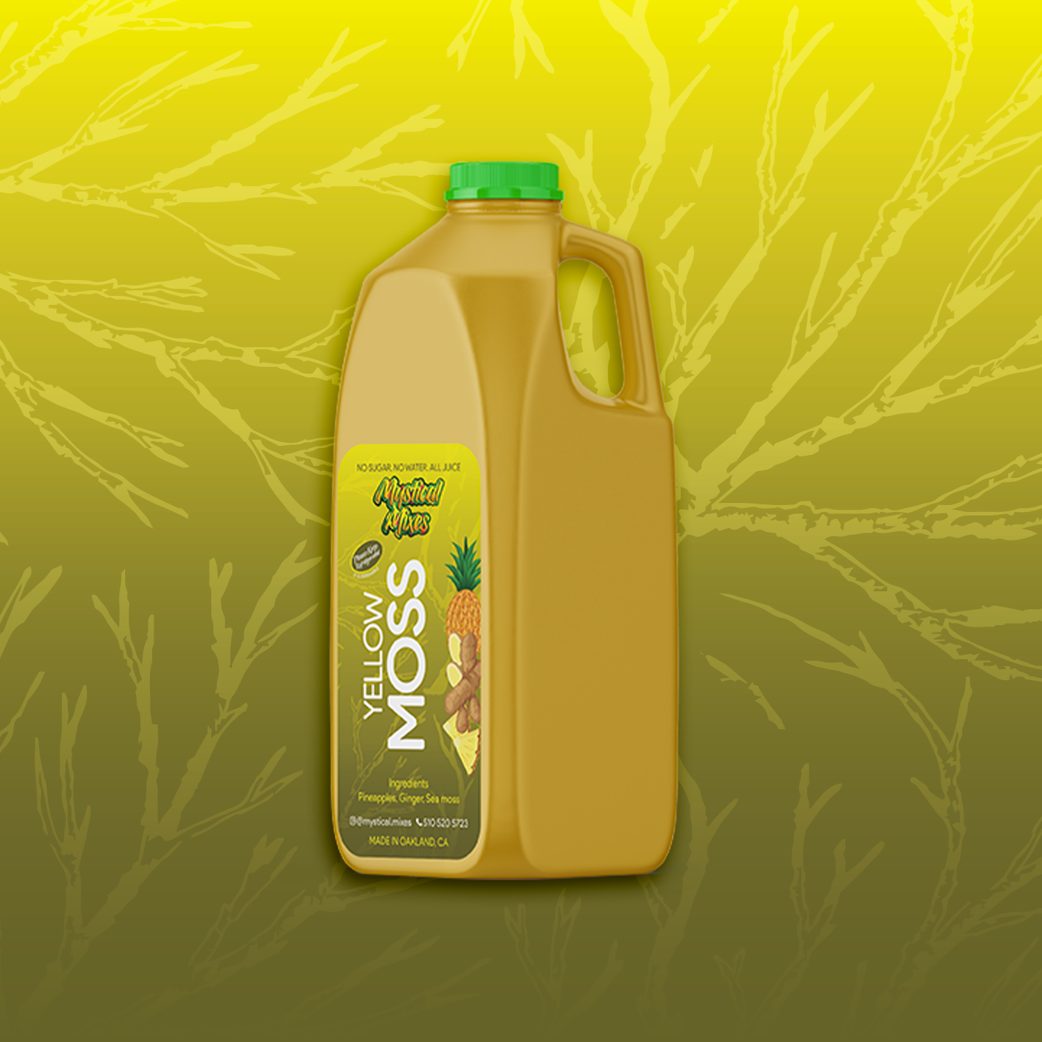 Yellow Moss 64 FL. OZ