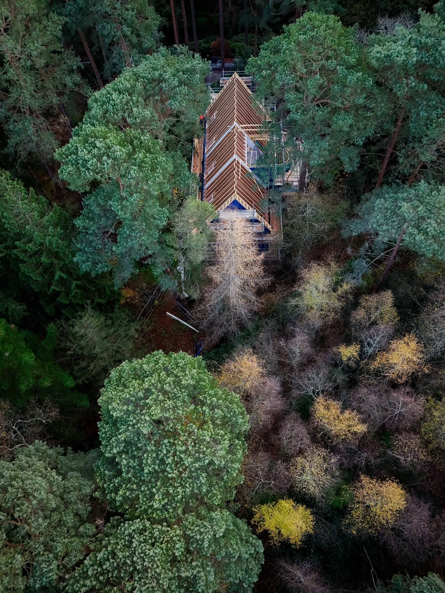 aerial_roof.jpg