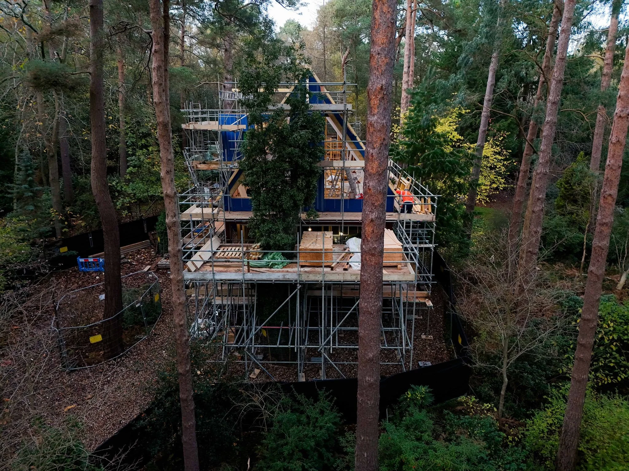 Trees_gable.jpg
