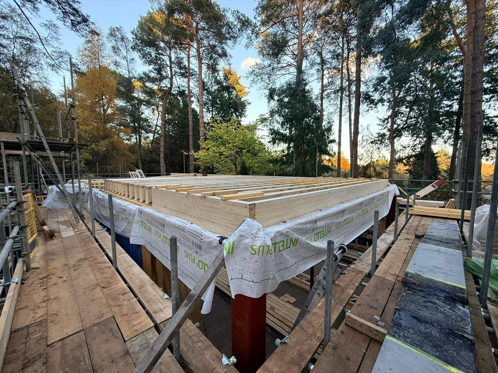 Subfloor.jpg