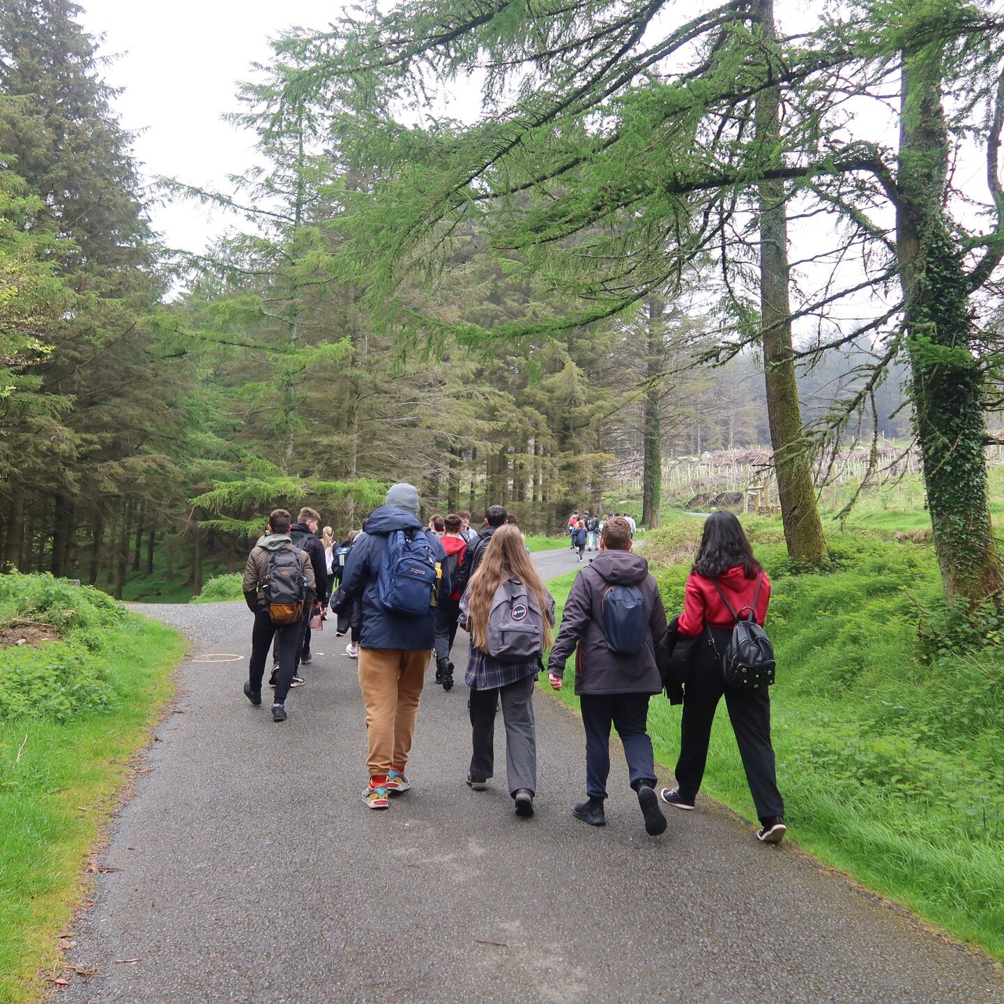 Into the misty mountains... the whole school hiked up Ticknock today!