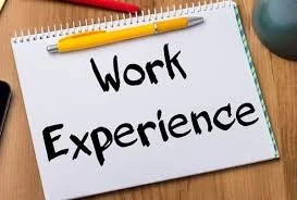 TY Work Experience 1