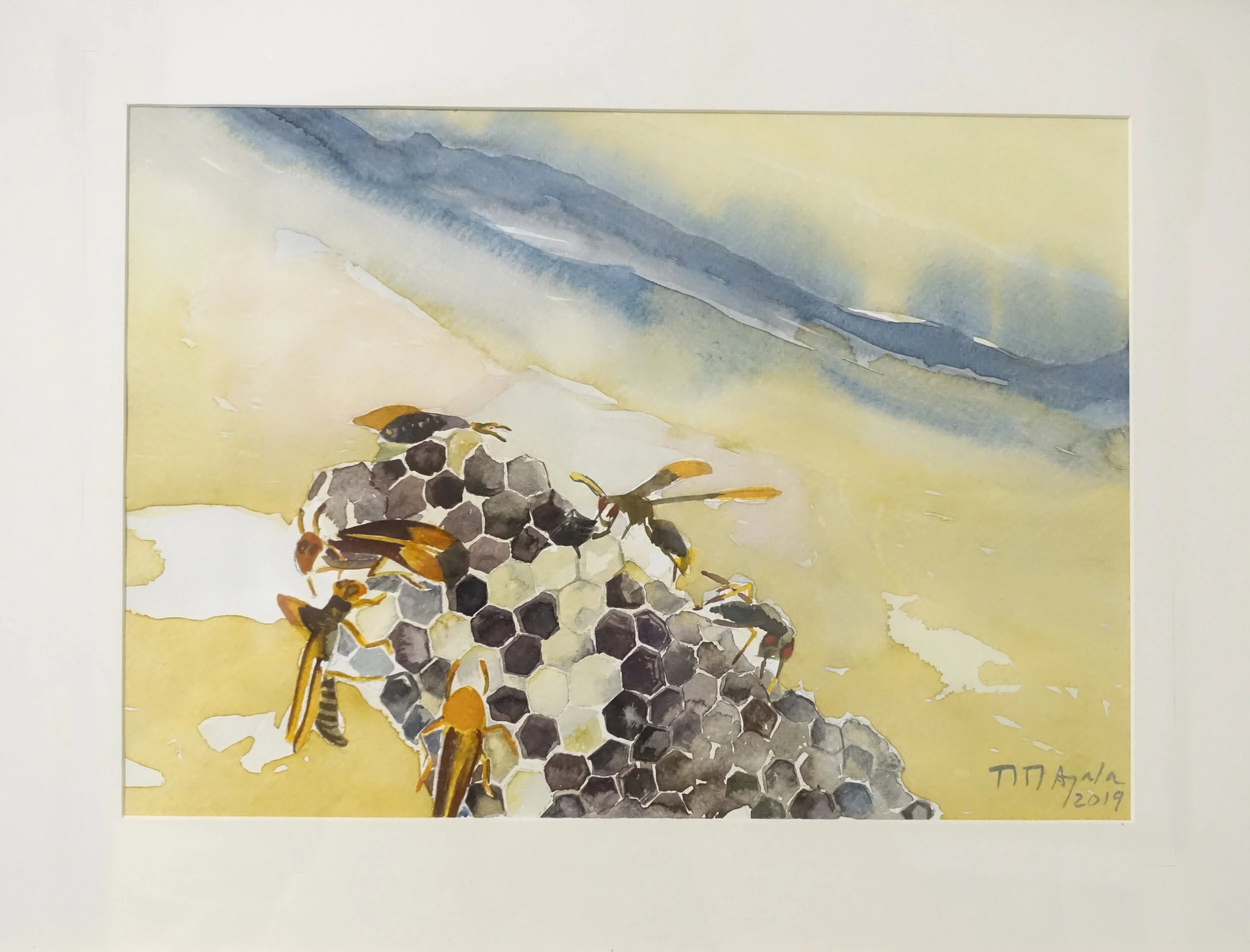 “Colmena II” 2017