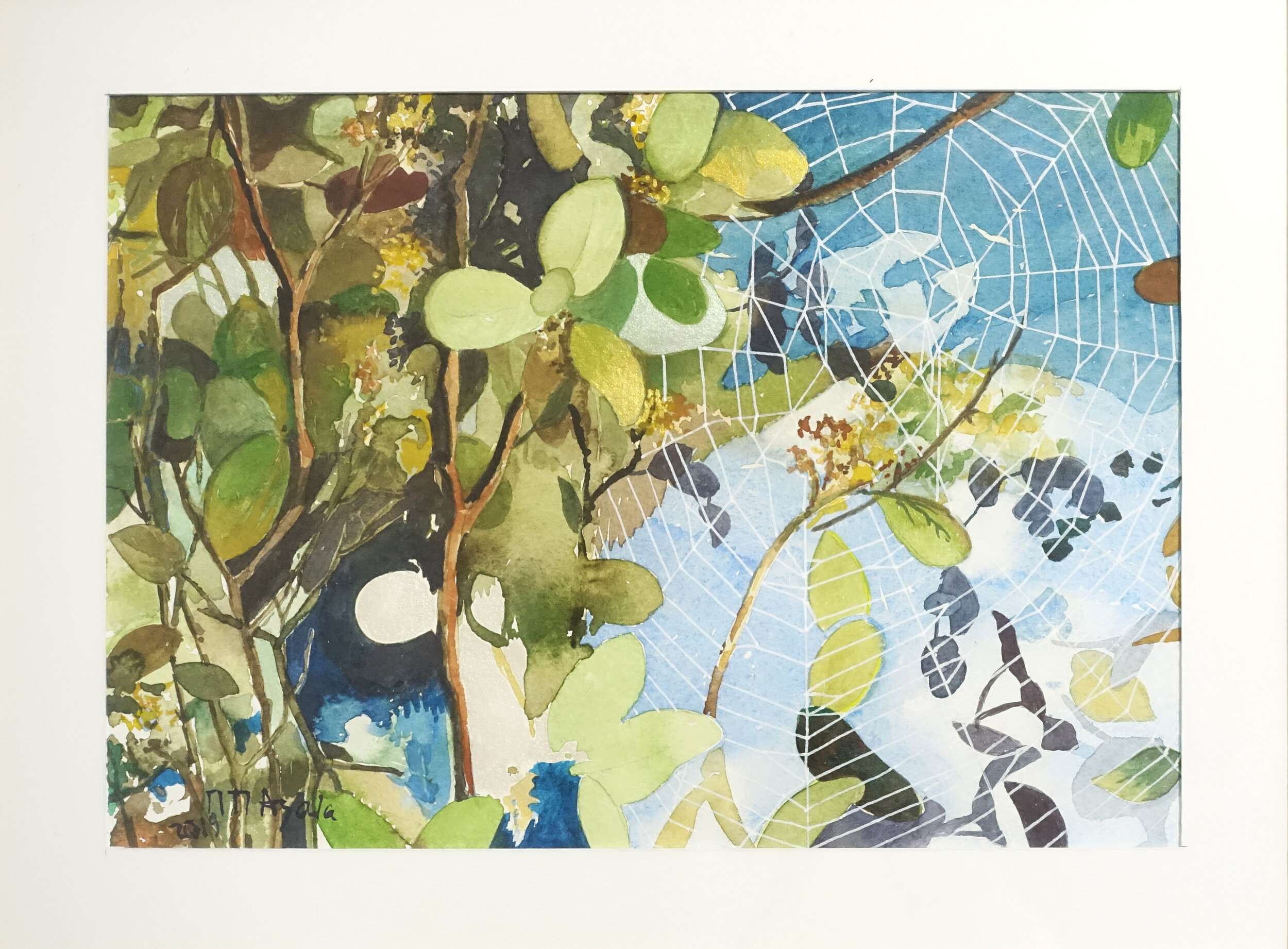 “Encinas y tela de araña” 2017