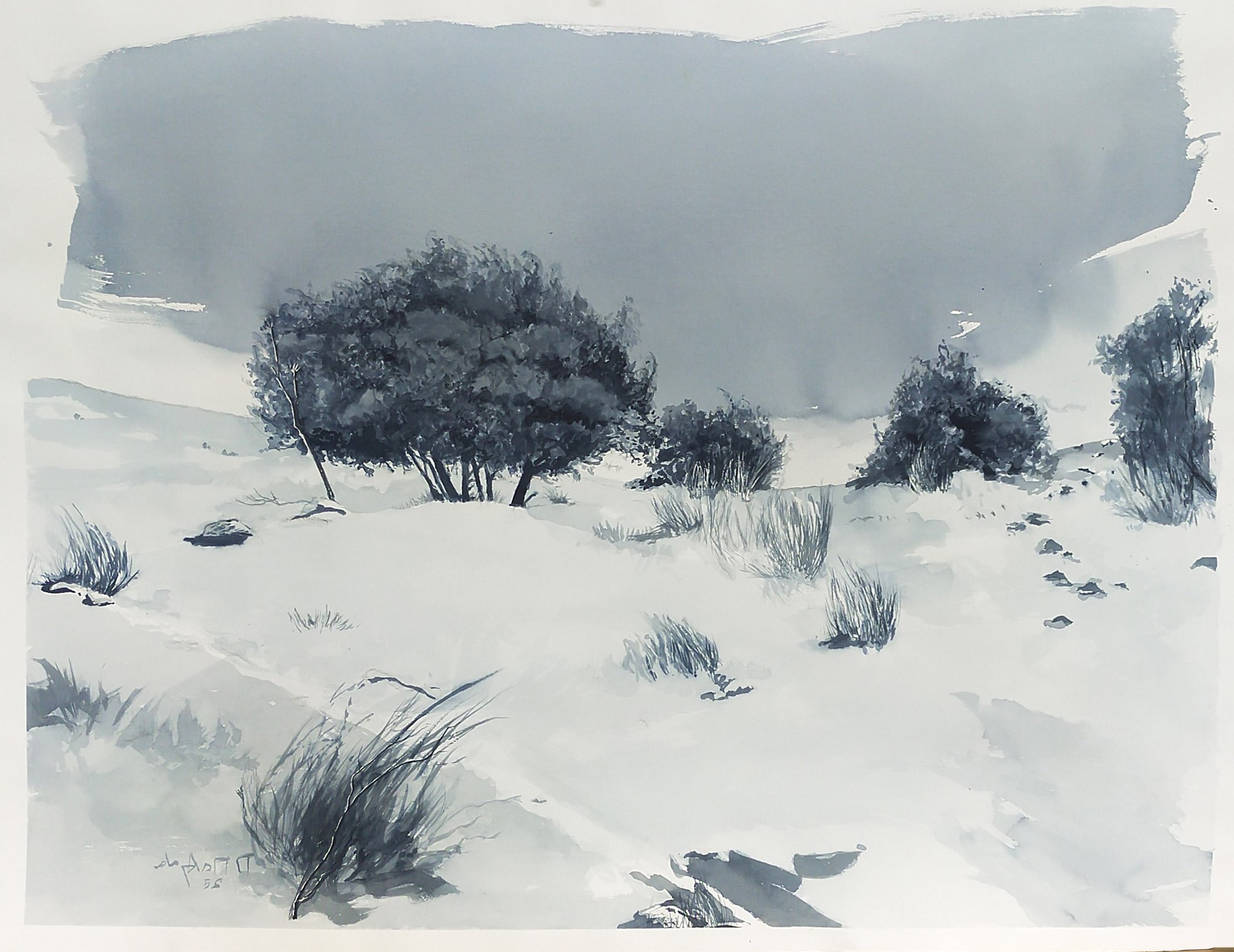 "Holm Oaks in the Snow" 2025