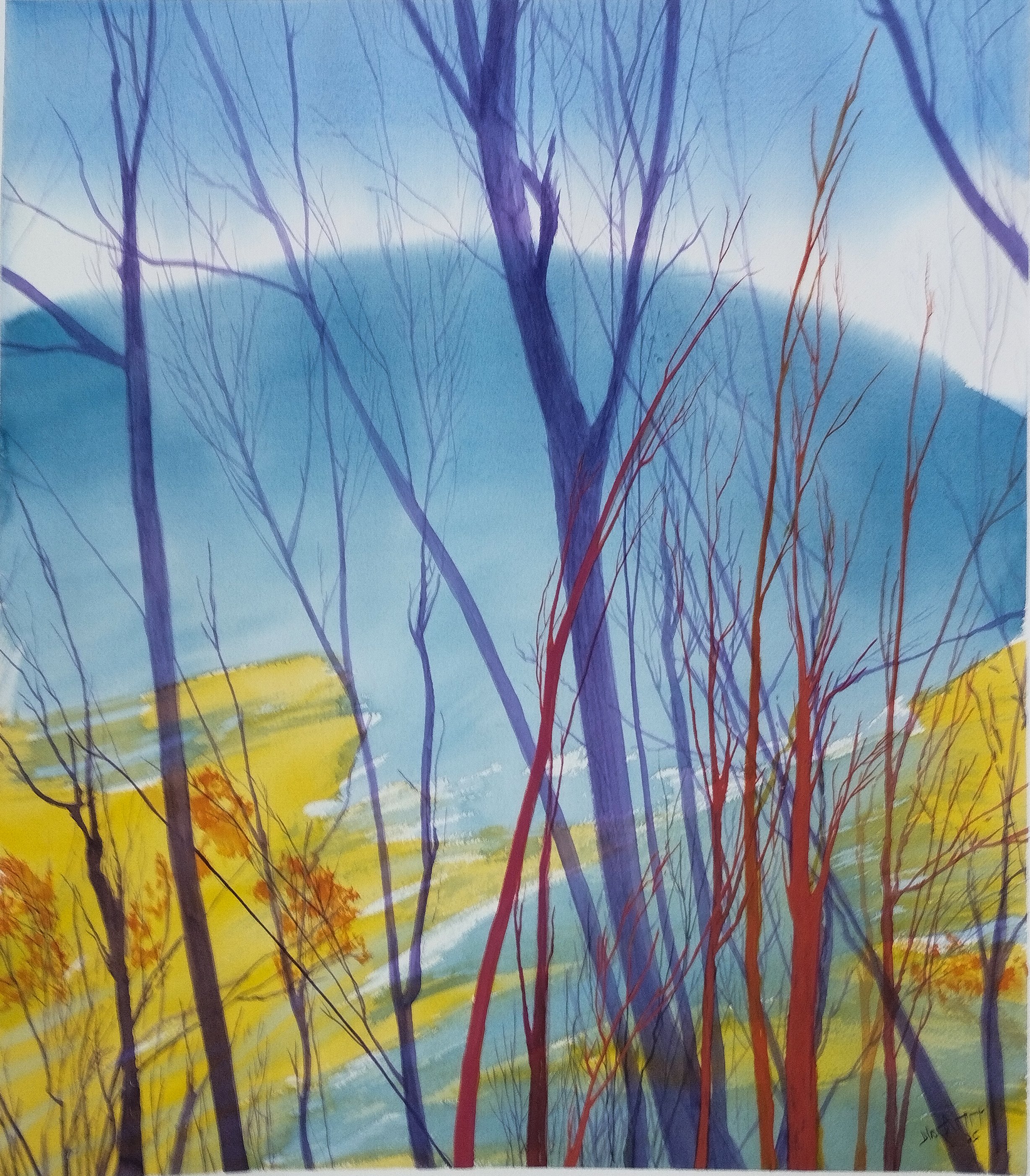 paisaje