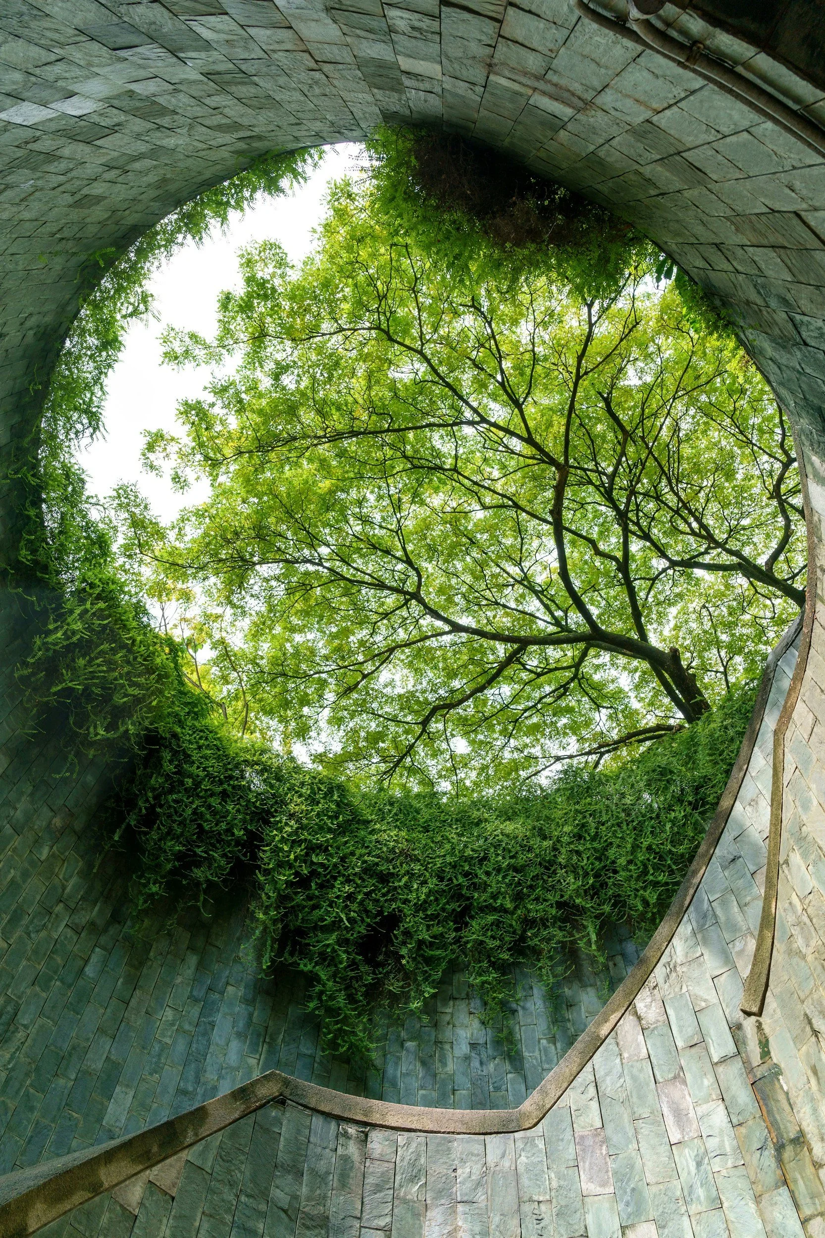 Looking upward through a circular stone arch or tunnel with trees and green foliage visible at the top.