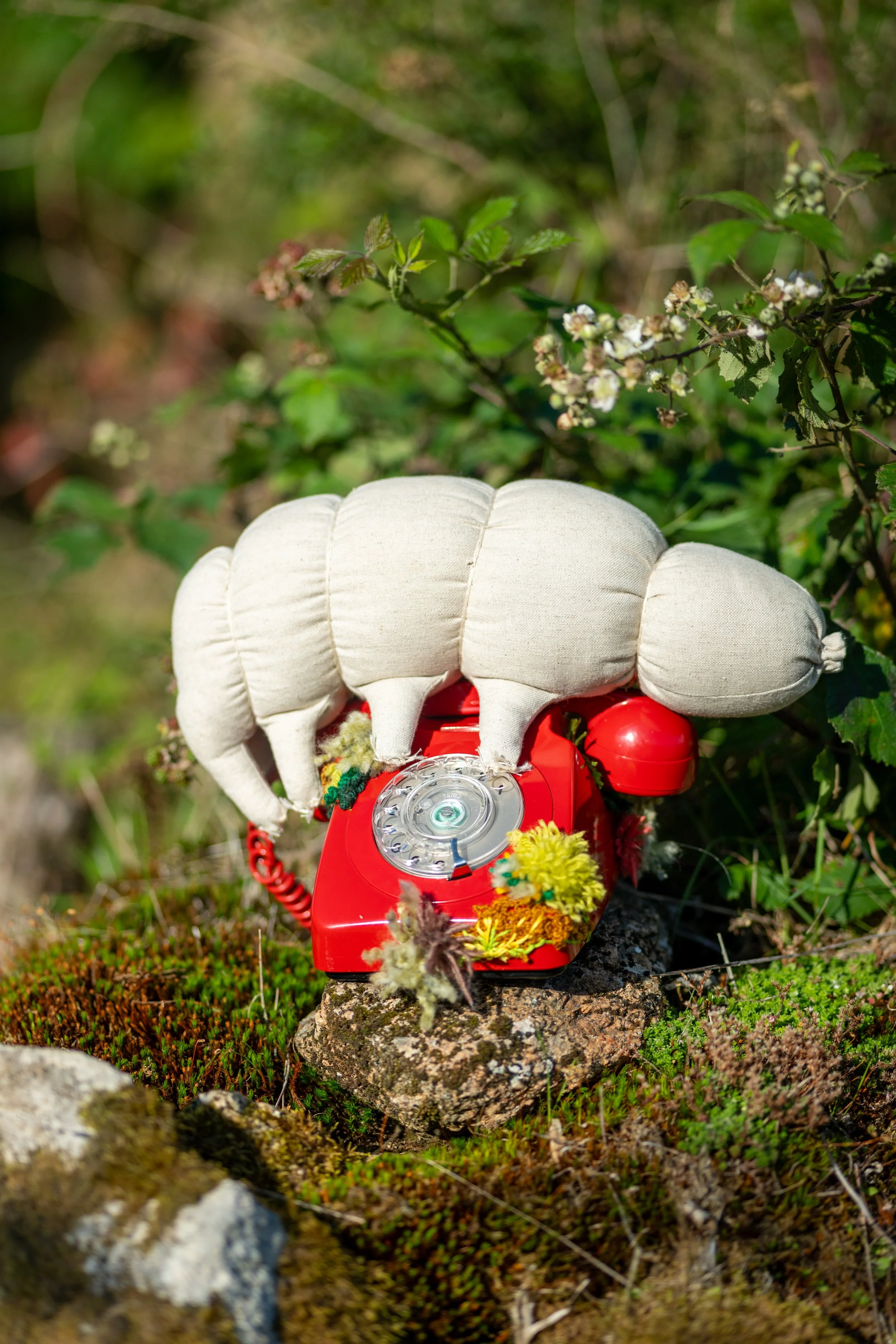 Tell the tardigrade messages