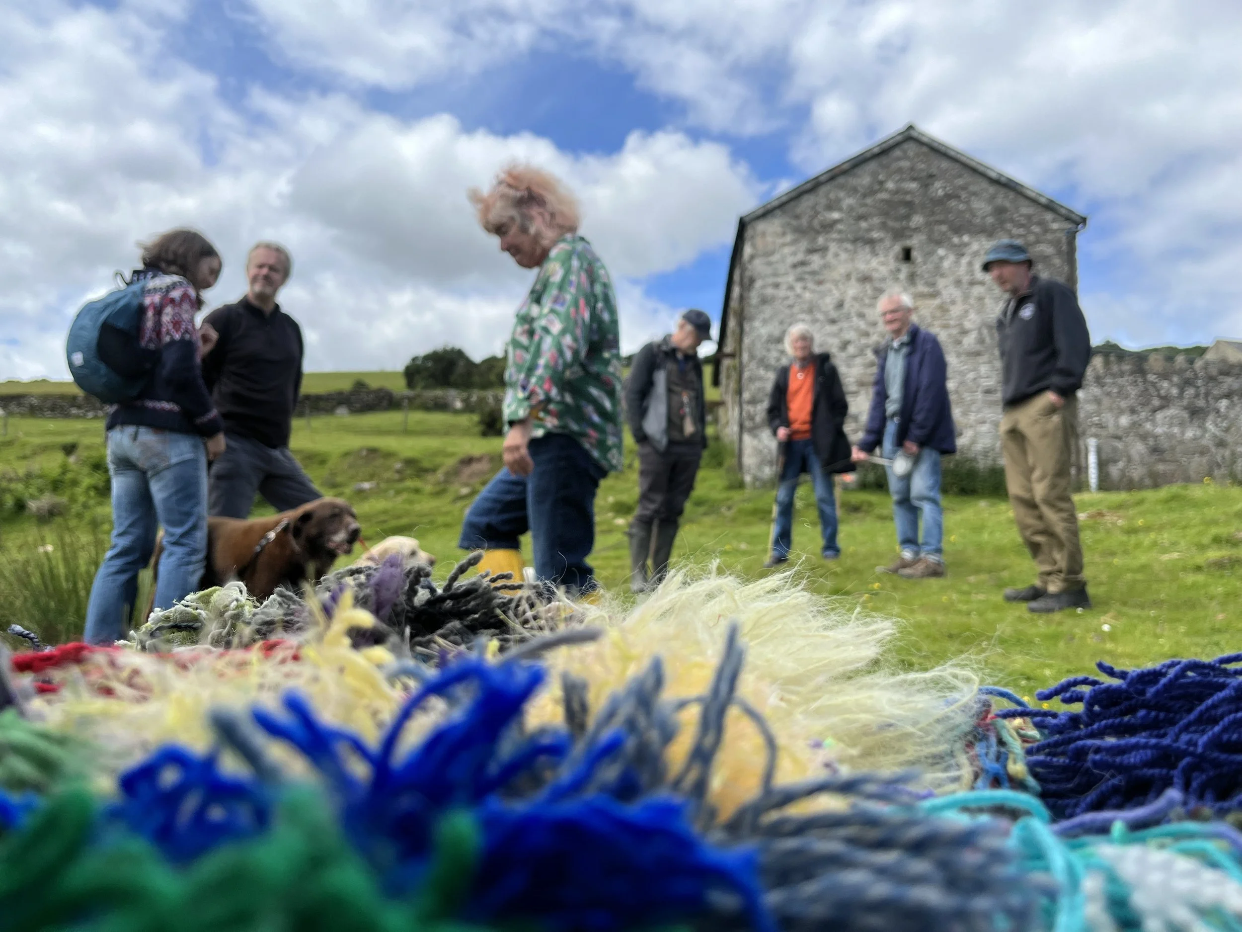 Mosses (and wildlife) galore in the sunshine at Challacombe Farm — The ...