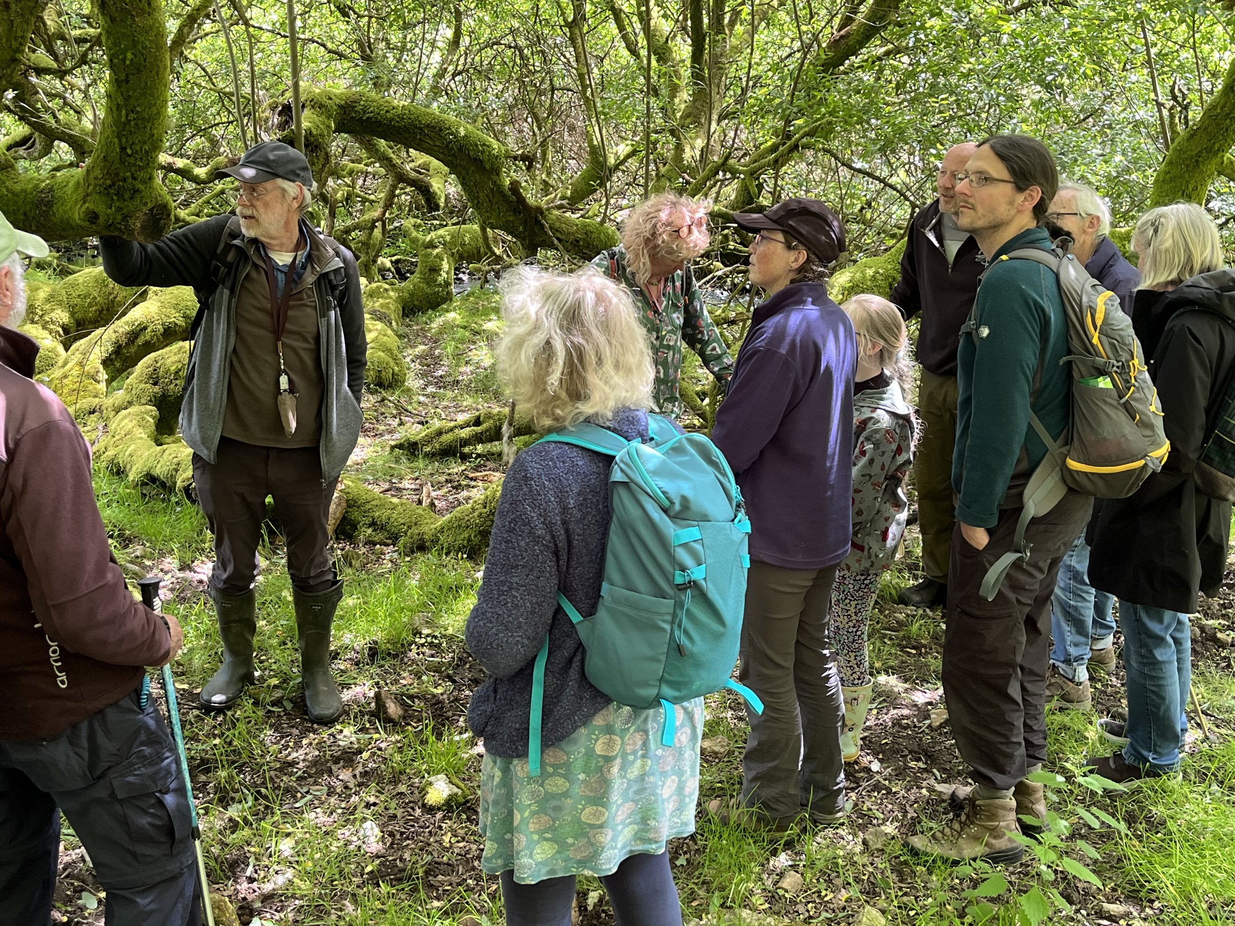 Mosses (and wildlife) galore in the sunshine at Challacombe Farm — The ...