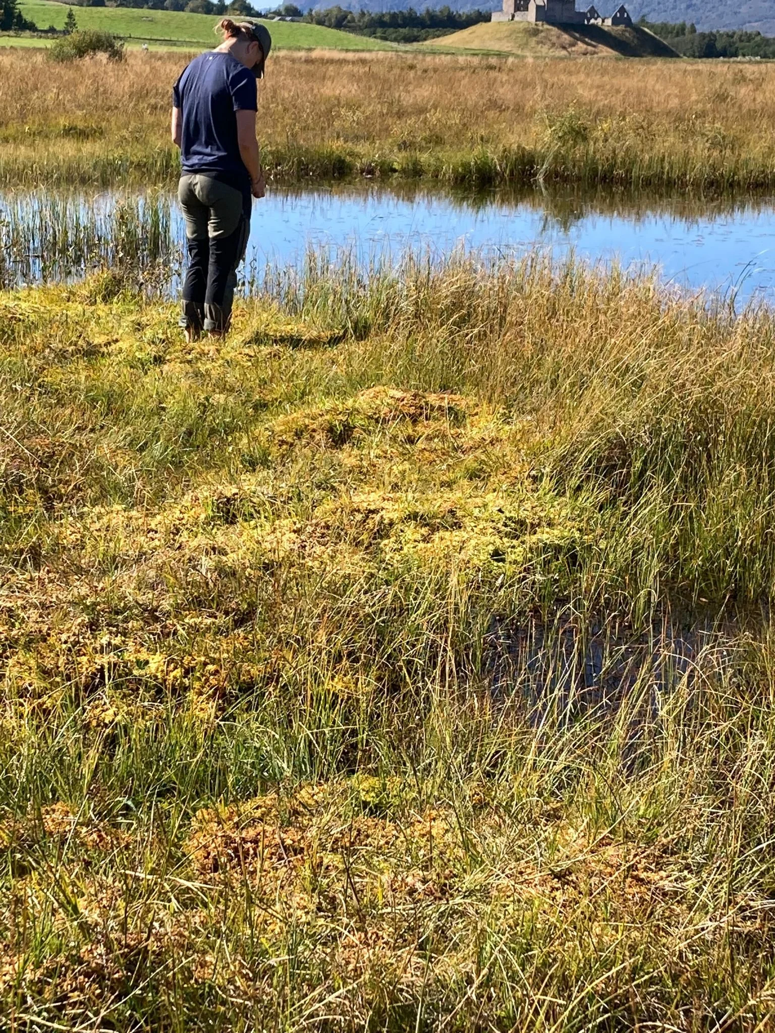 Our Future is Peat workshop — The Art and Energy Collective