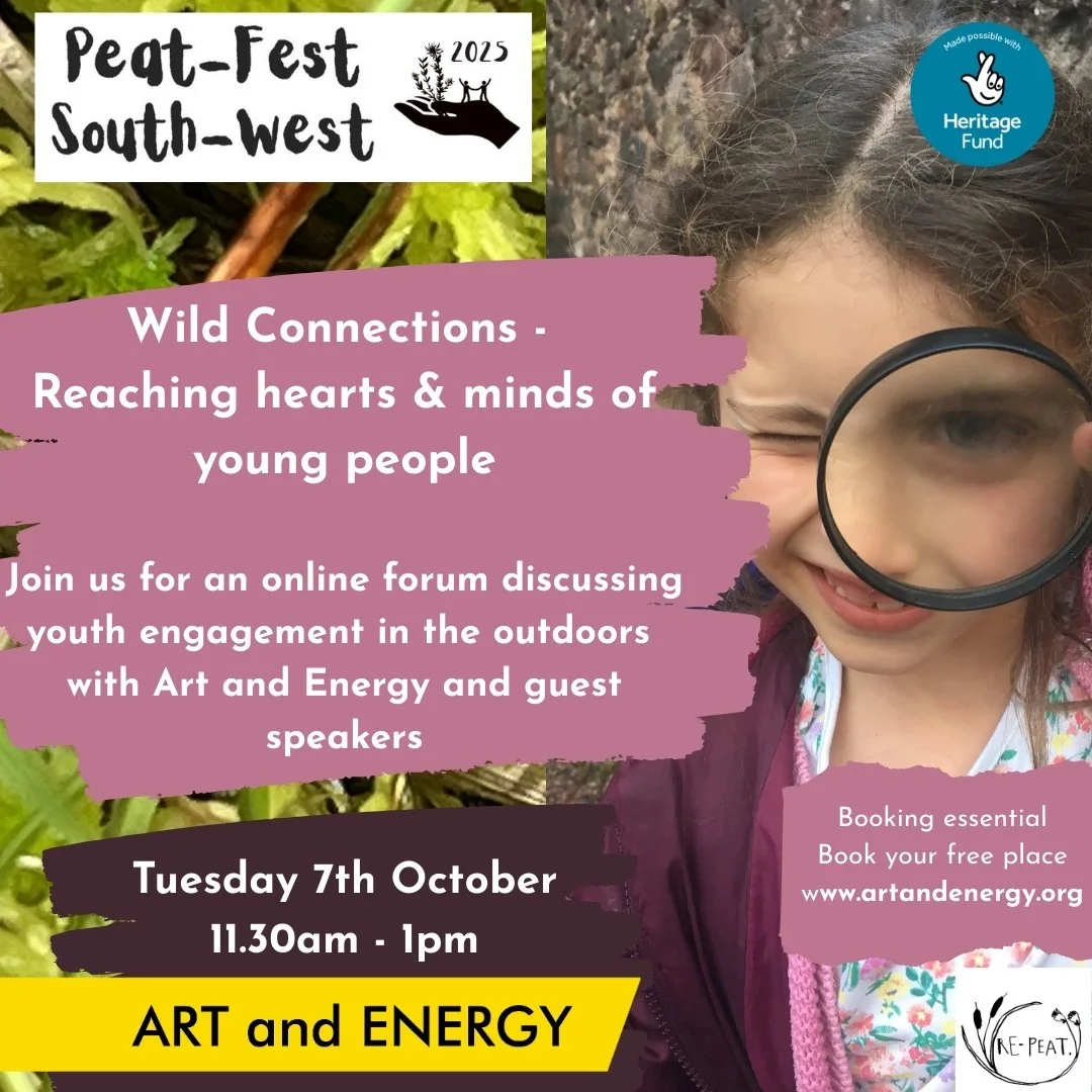 Wild connections - reaching hearts and minds of young people. Online training session