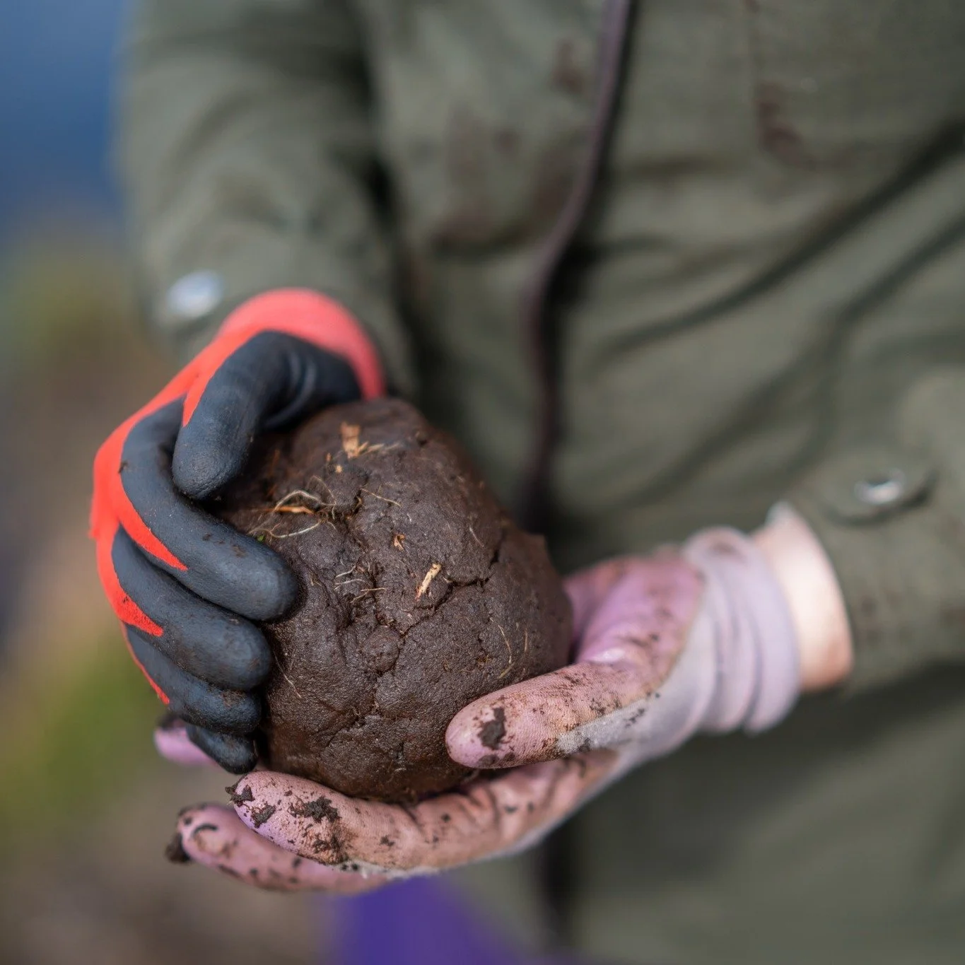 Peatland Stories will feature voices sharing their love of peatlands and peatland heritage with nature and peatland specialists who use art to support and strengthen their knowledge.

Join us for this free online broadcast webinar as part of Peat-Fes