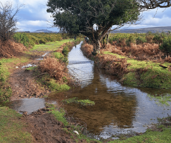 Our Land Flows…from Peat to Pipe