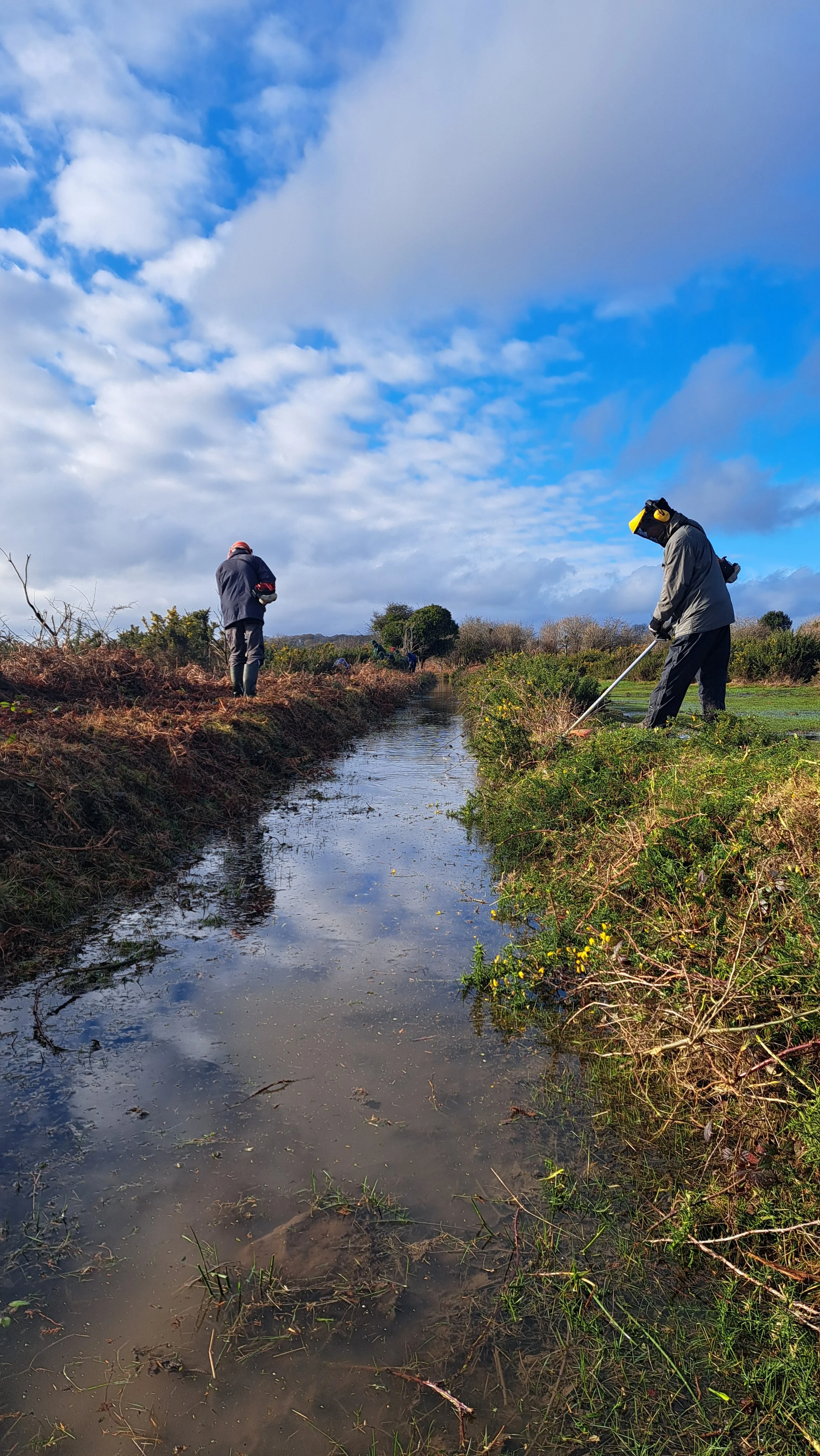 Drakes leat strimming credit Dartmoor Preservation Association.jpg