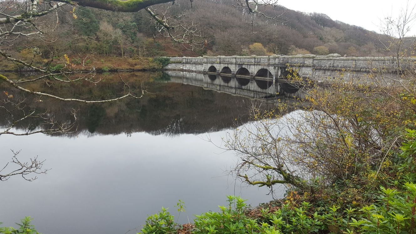 Our Land Flows...from Peat to Pipe: Guided walk, talk and celebration event - Dartmoor