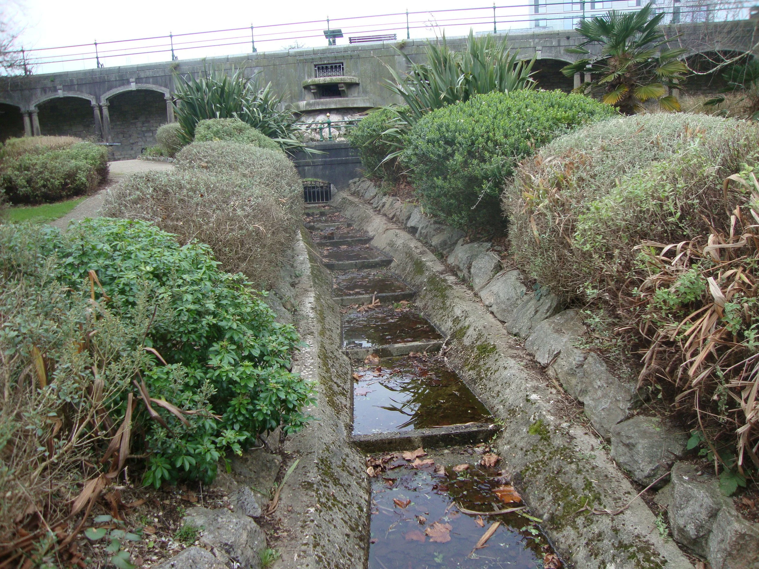 Uncovering the story of Drake’s Leat with Ron Smith and Plym Links Magazine 