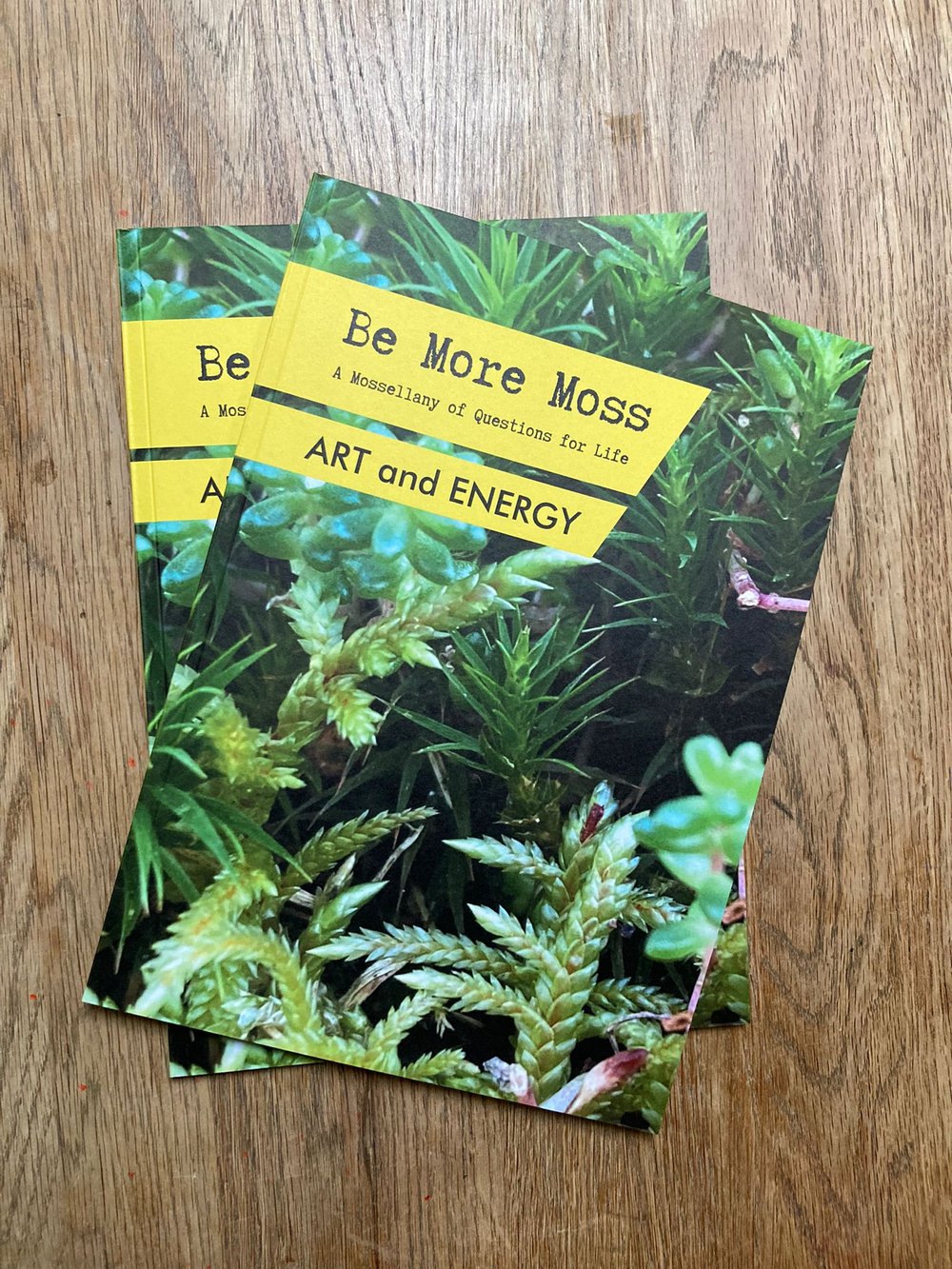 Be More Moss - A Mossellany of Questions for Life