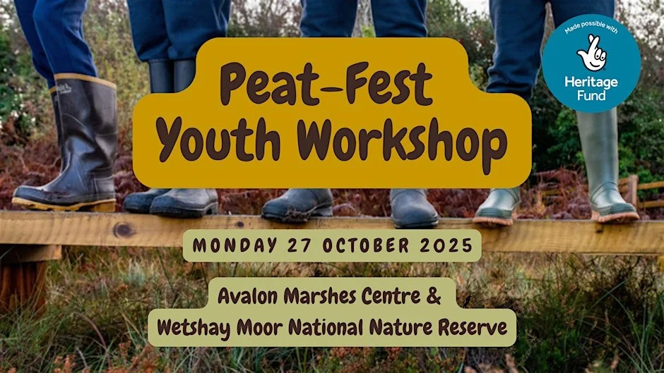 Peat-Fest South-West Youth Workshop in Somerset