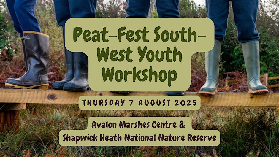 Peat-Fest South-West Youth Workshop at Avalon Marshes Centre and Shapwick Heath National Nature Reserve