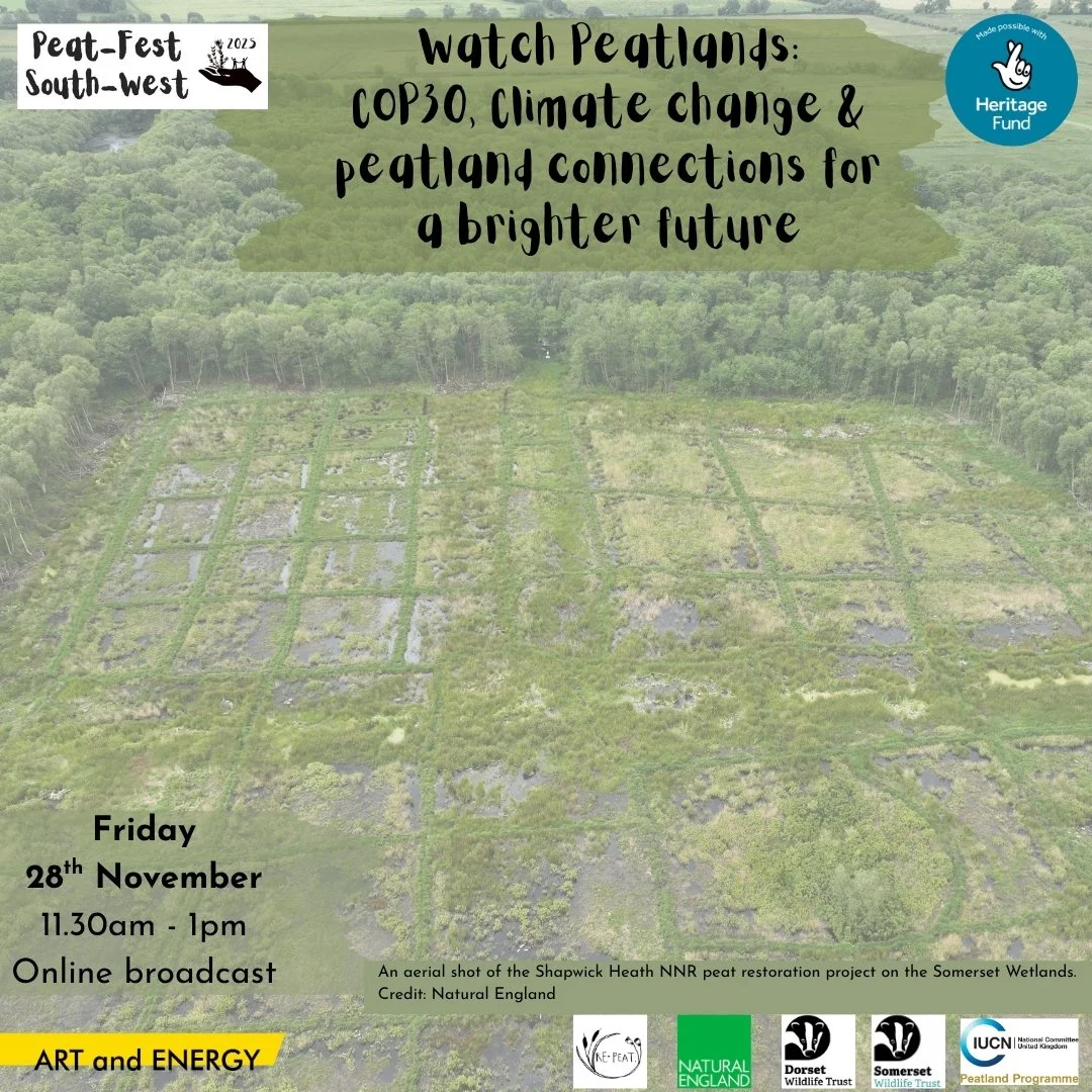 Watch Peatlands – COP30, Climate change and peatland connections for a brighter future:  Peat-Fest South-West online broadcast
