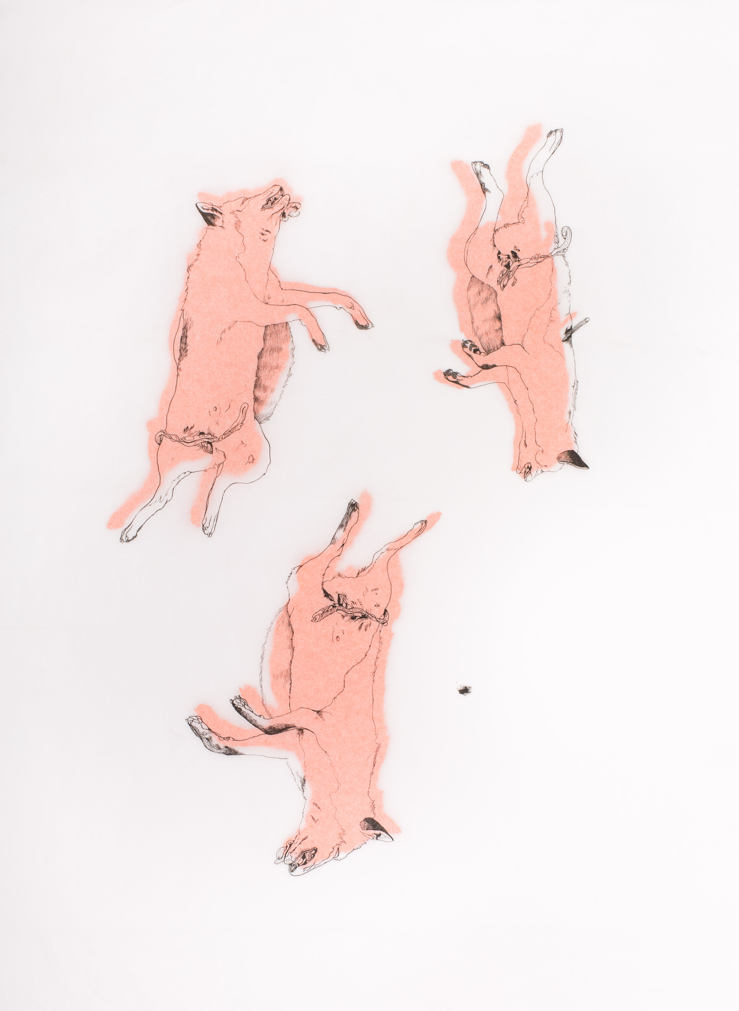The Curious Incident Of The Fox In The Night-Time_49x64_NibPen&InkOnTissuePaperWithPaperCutOuts.jpg