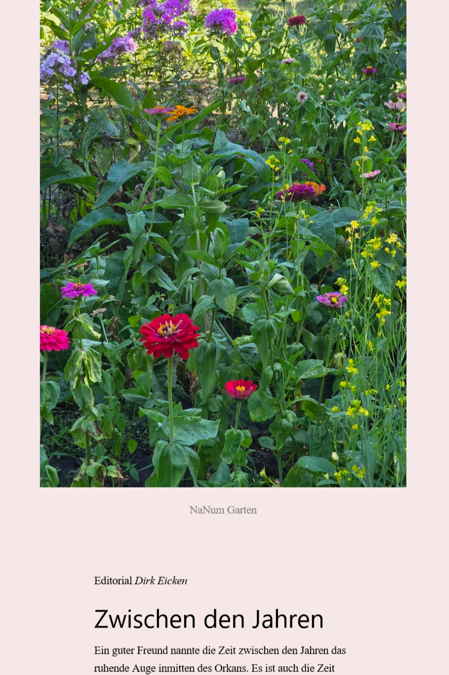      

  
   
    weiter
   
   
    #block-yui_3_17_2_1_1766689991718_29528 {
      --sqs-block-content-flex: 0;
    }
   
  
  

      