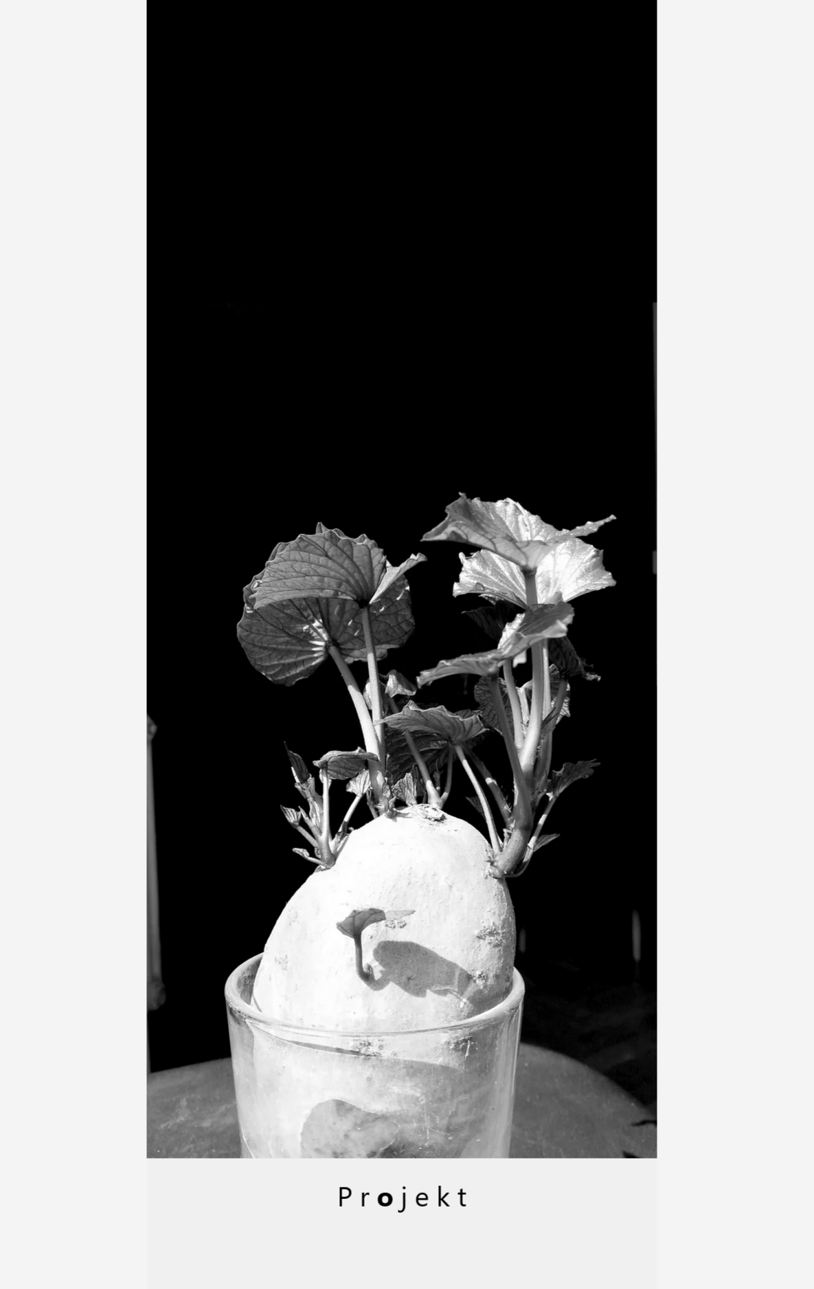 einmal etwas privater