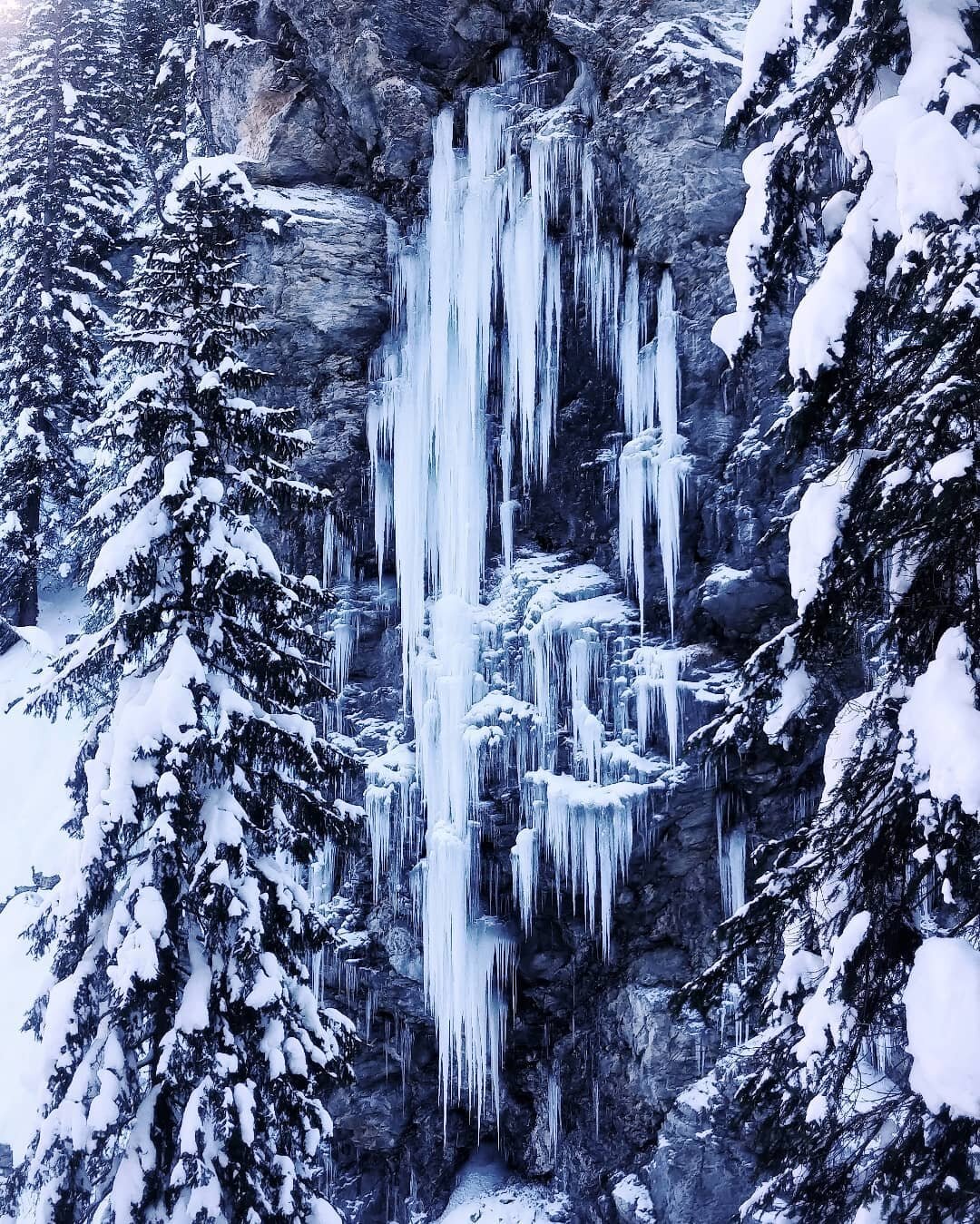 Sap&uuml;n, GR - 2021
&middot;
&middot;
&middot;
&middot;
#winter #swissalps #getoutstayout #mountainescape #neverstopexploring #visualofearth #bevisuallyinspired #landscapephotography #picoftheday