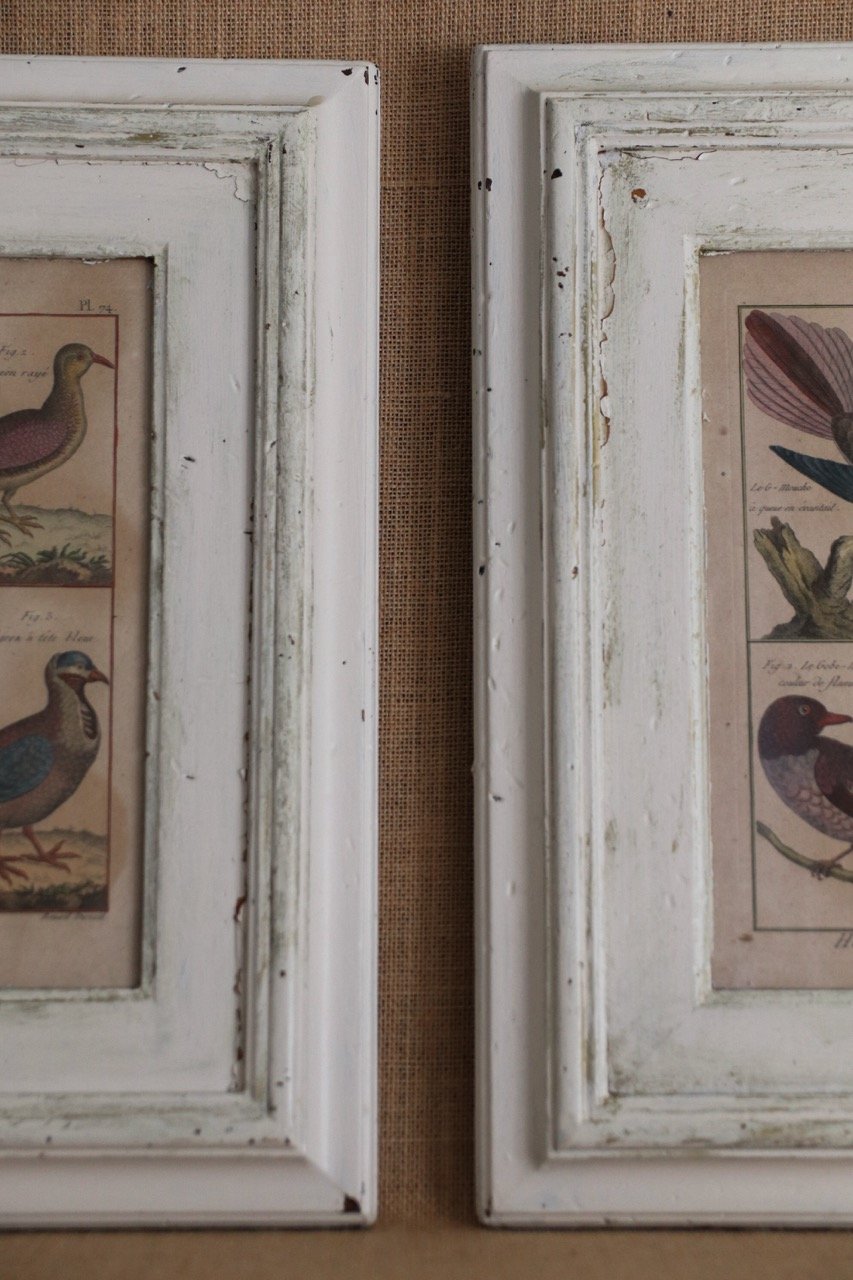 IMG_6983 Large.jpeg