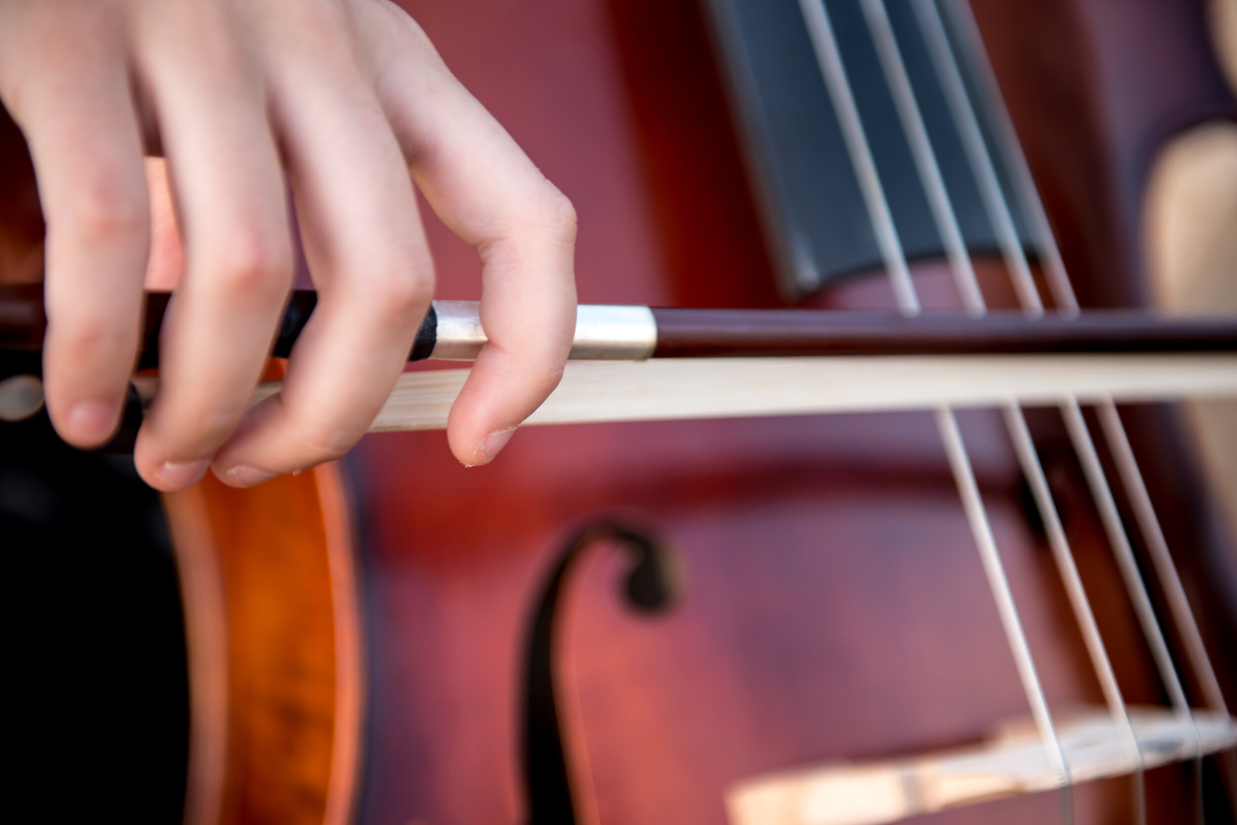 AdobeStock_193700915.jpeg